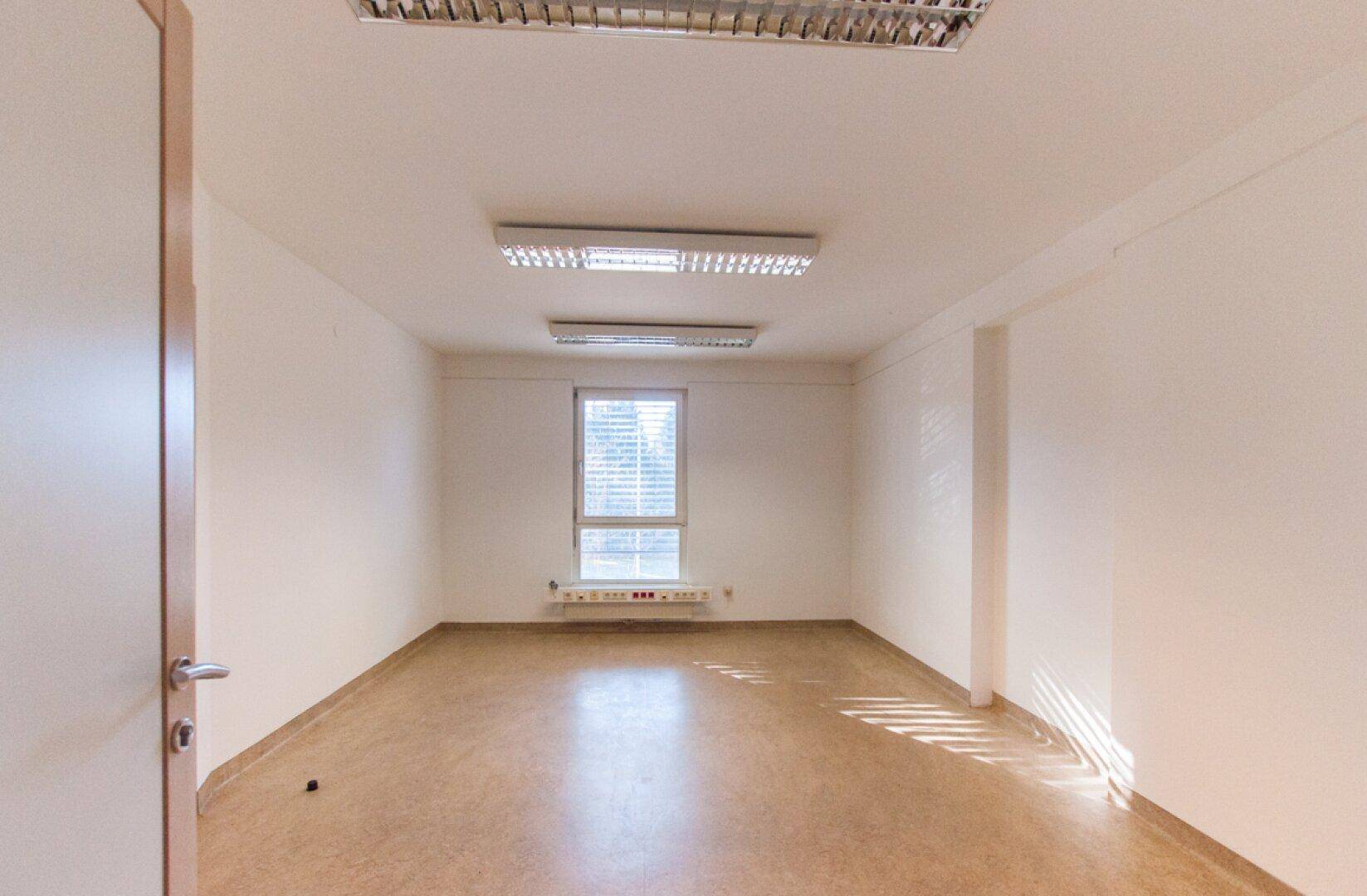 Helles Büro mit einem Fenster, Linoleumboden und Deckenleuchten.
