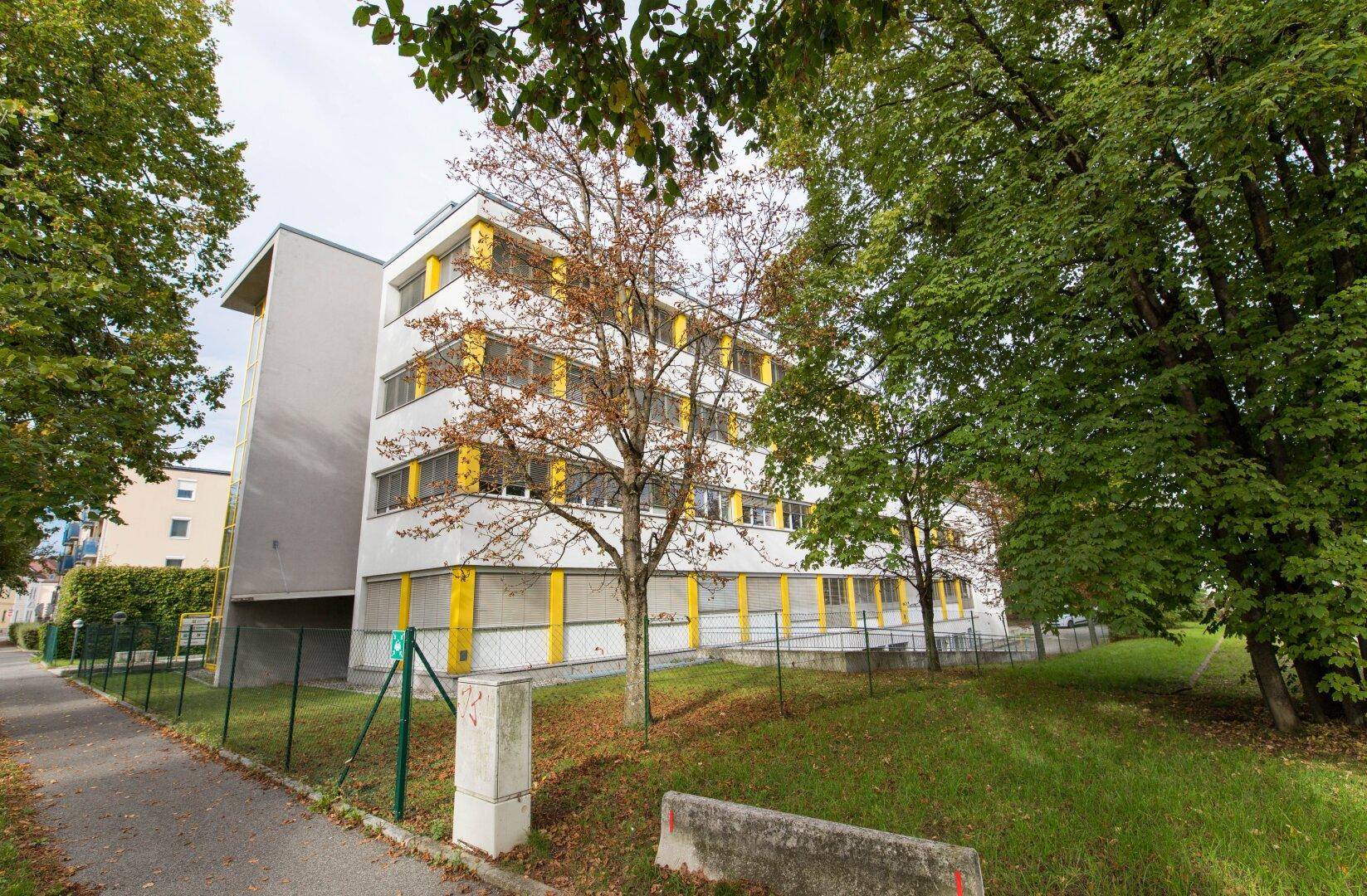 Seitenansicht des Bürogebäudes mit gelben Fensterbändern, umgeben von Bäumen und einer Rasenfläche.