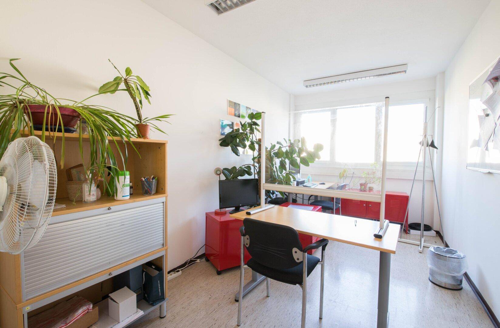 Kleines, helles Büro mit Linoleumboden, Fenster und einem Arbeitsplatz, ausgestattet mit Pflanzen und einem Ventilator.