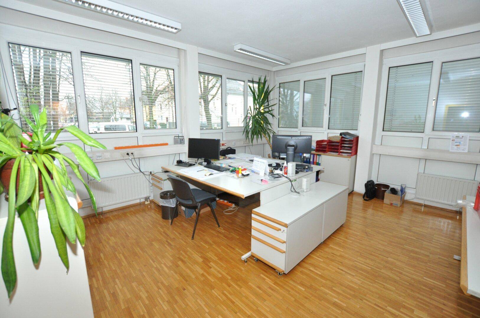 Möbliertes Büro mit Schreibtischen, Bürostühlen und Pflanzen, beleuchtet durch große Fenster.