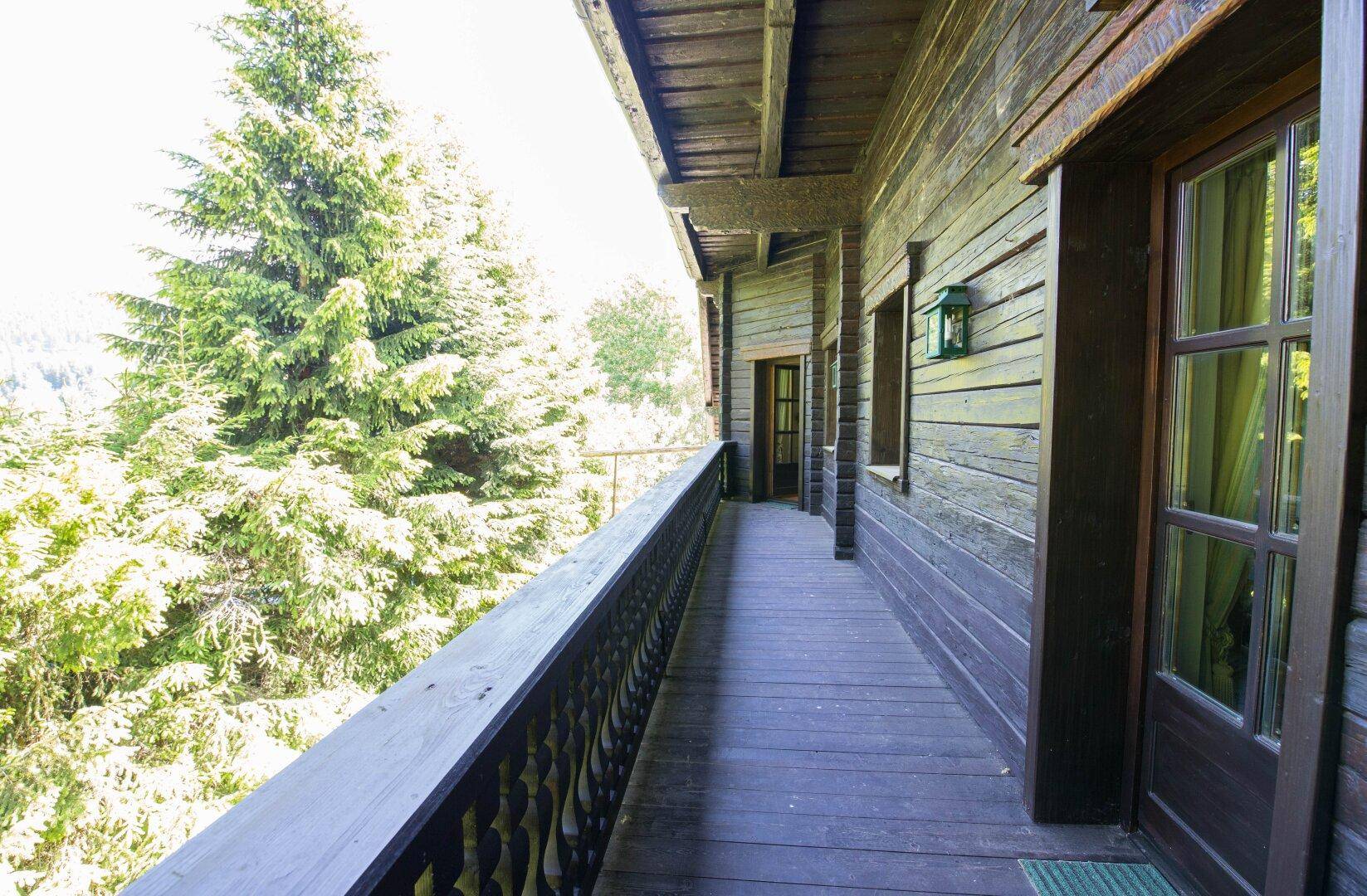 Langer Holzbalkon mit Blick auf die hohen Nadelbäume und die ruhige Natur, die Entspannung verspricht.