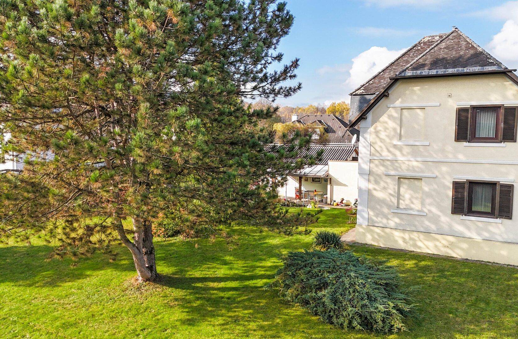 Blick auf das Haus von der Gartenseite mit großem Nadelbaum und gepflegtem Rasen.