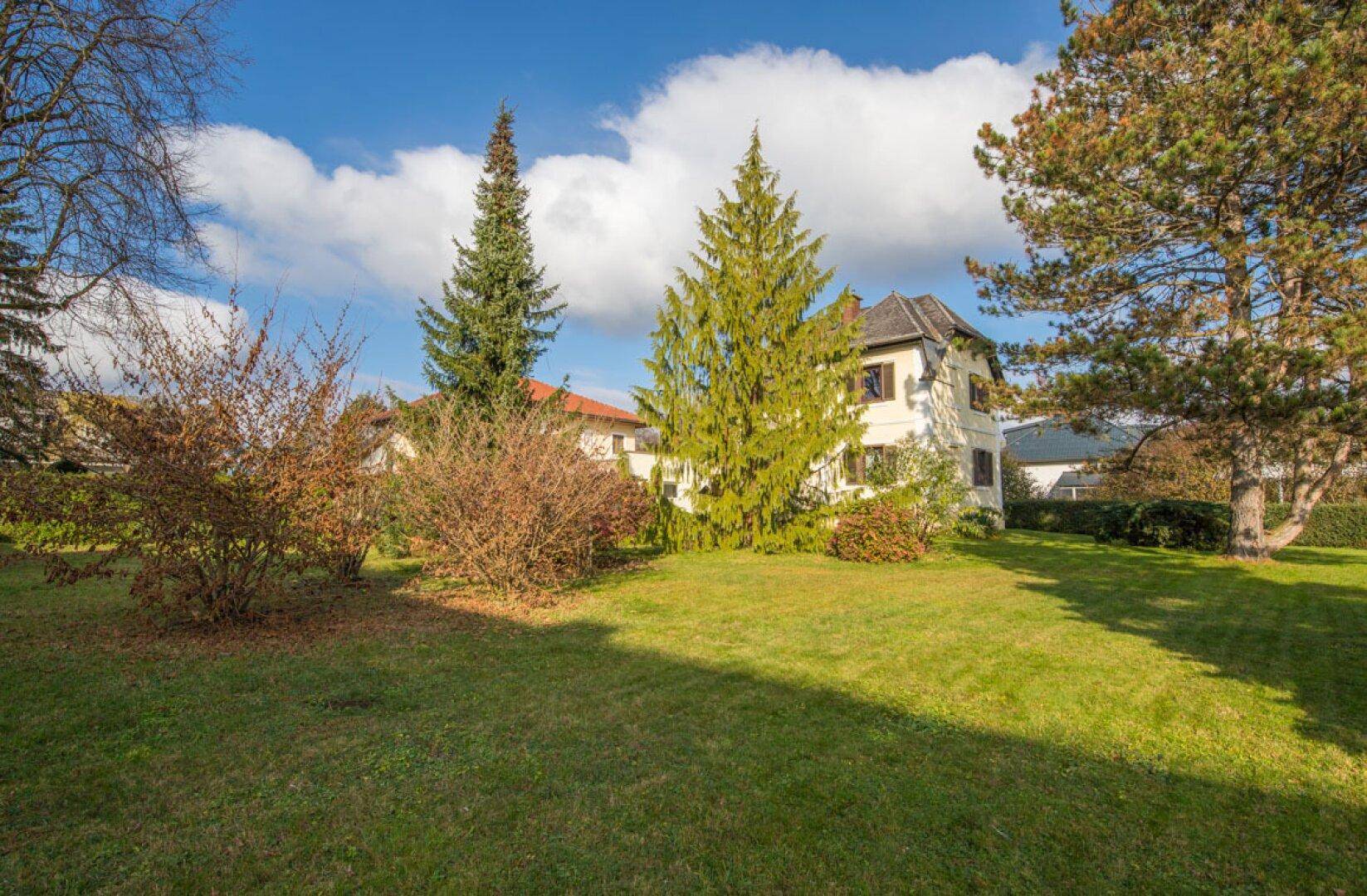 Großer, sonniger Garten mit Rasenfläche, hohen Bäumen und einer Wäscheleine.