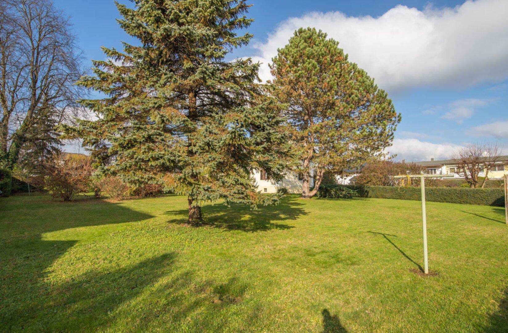 Gepflegter Garten mit altem Baumbestand und weitem Blick in die grüne Umgebung.