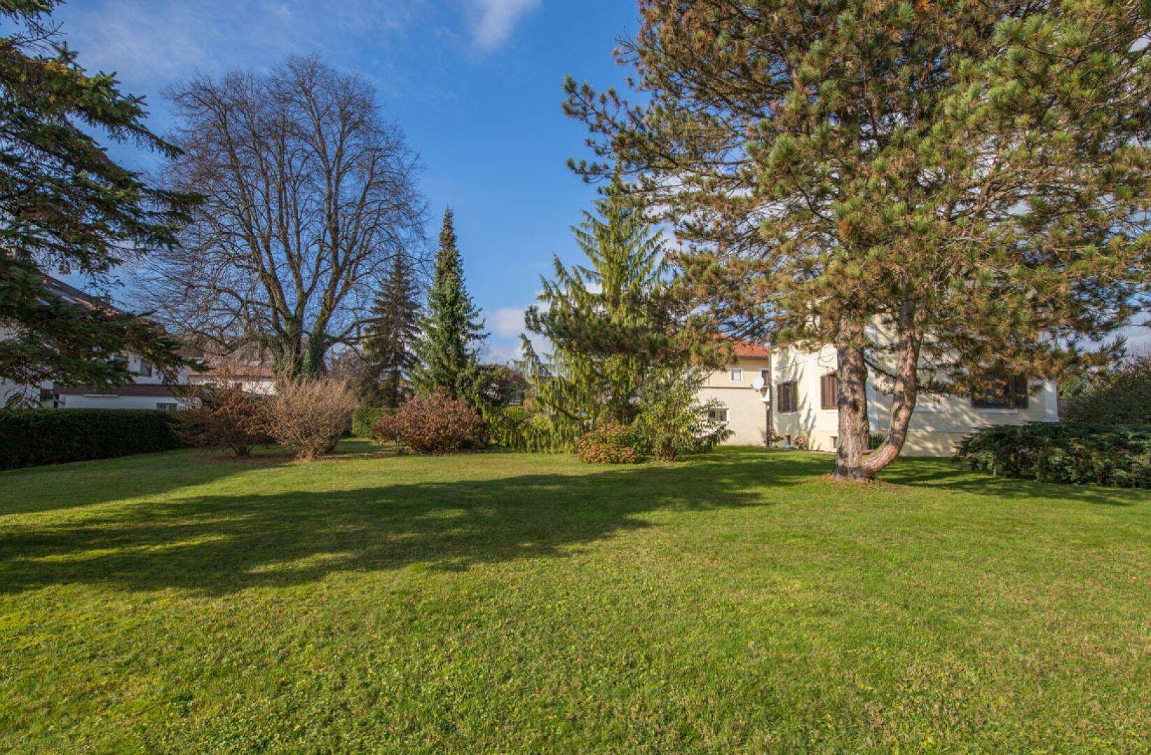 Sonniger Garten mit großem Baum und Blick auf die Seitenfassade des Hauses.