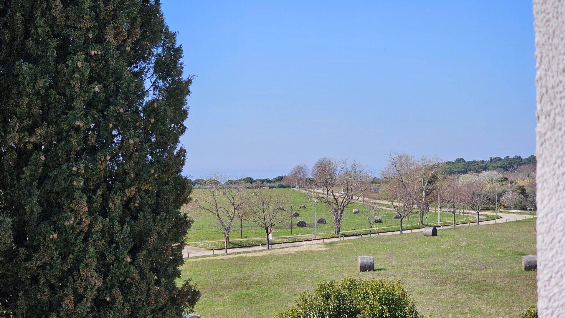Weite Aussicht auf grüne Felder und Bäume unter blauem Himmel.