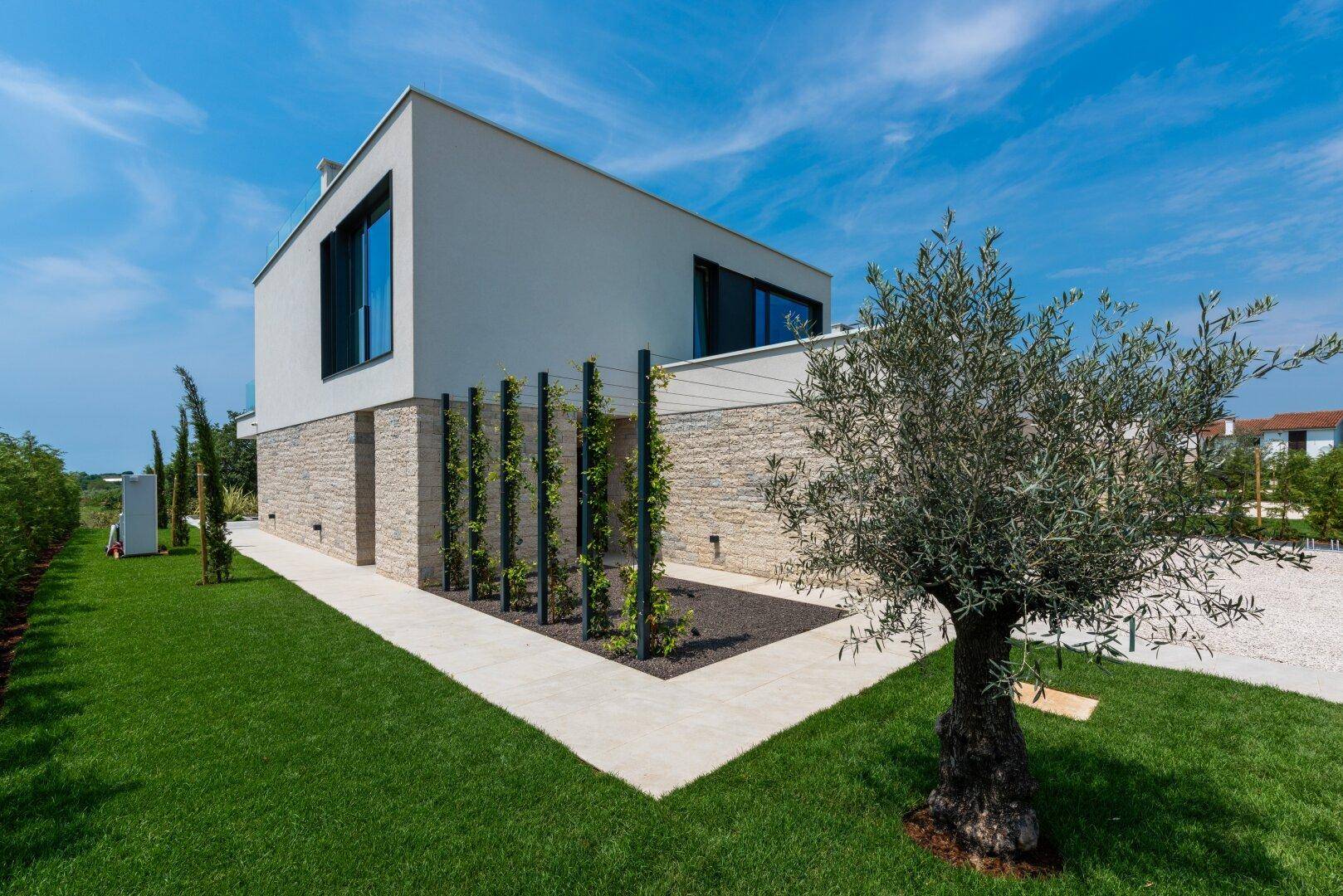 Seitliche Ansicht einer modernen Villa mit gepflegtem Rasen und einem Olivenbaum im Vorgarten.