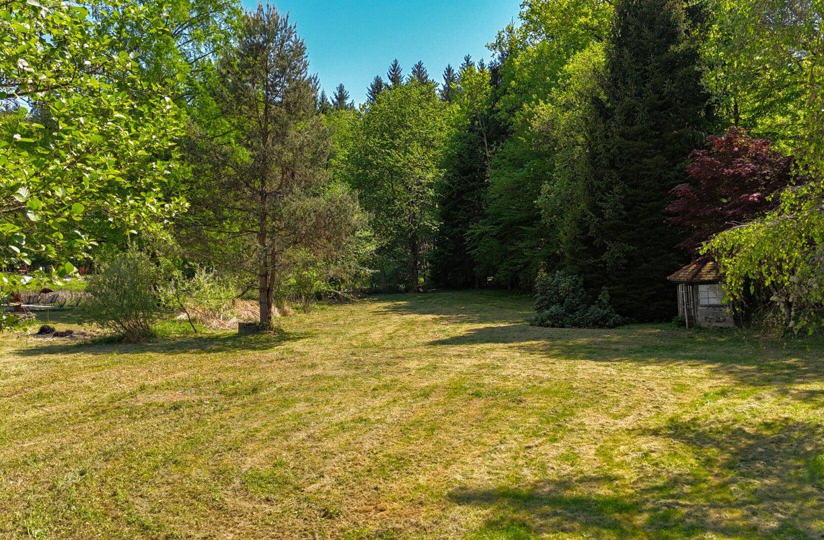 Weitläufiger, naturbelassener Gartenbereich mit hohen Bäumen und viel Grünfläche.