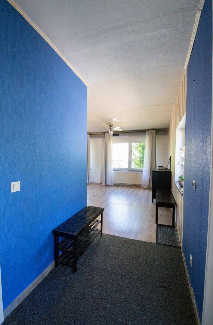 Eingangsbereich mit blau gestrichener Wand und Teppichboden, der in einen hellen Wohnbereich führt.
