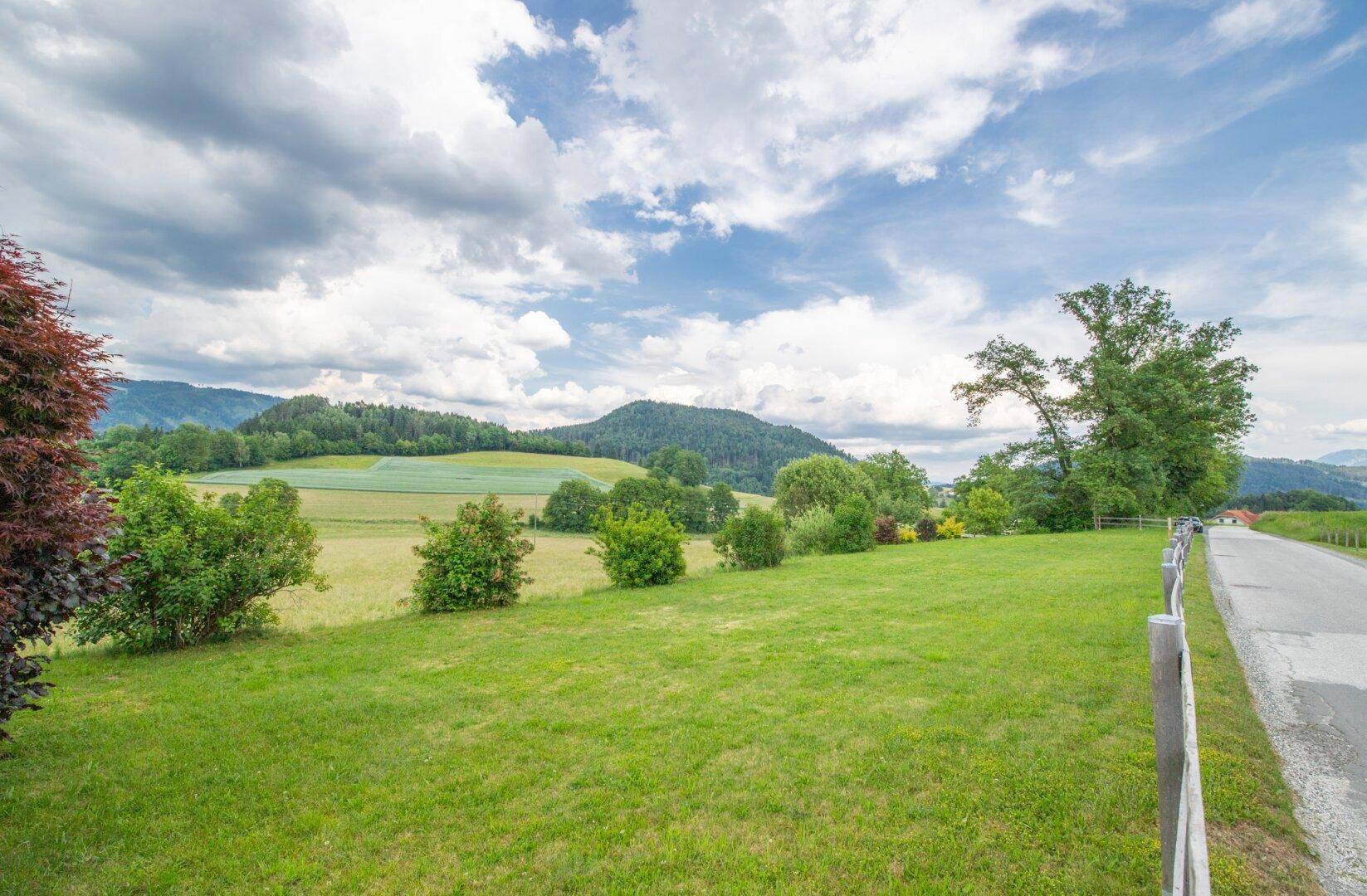Idyllische ländliche Landschaft mit grünen Feldern, bewaldeten Hügeln und einer Landstraße.