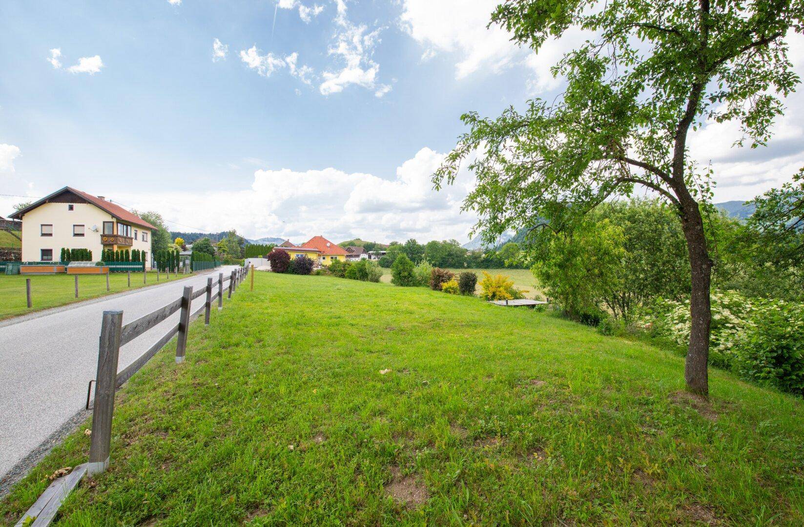 Grüne Wiese neben einer Landstraße mit Holzzaun und einem Haus in der Ferne.
