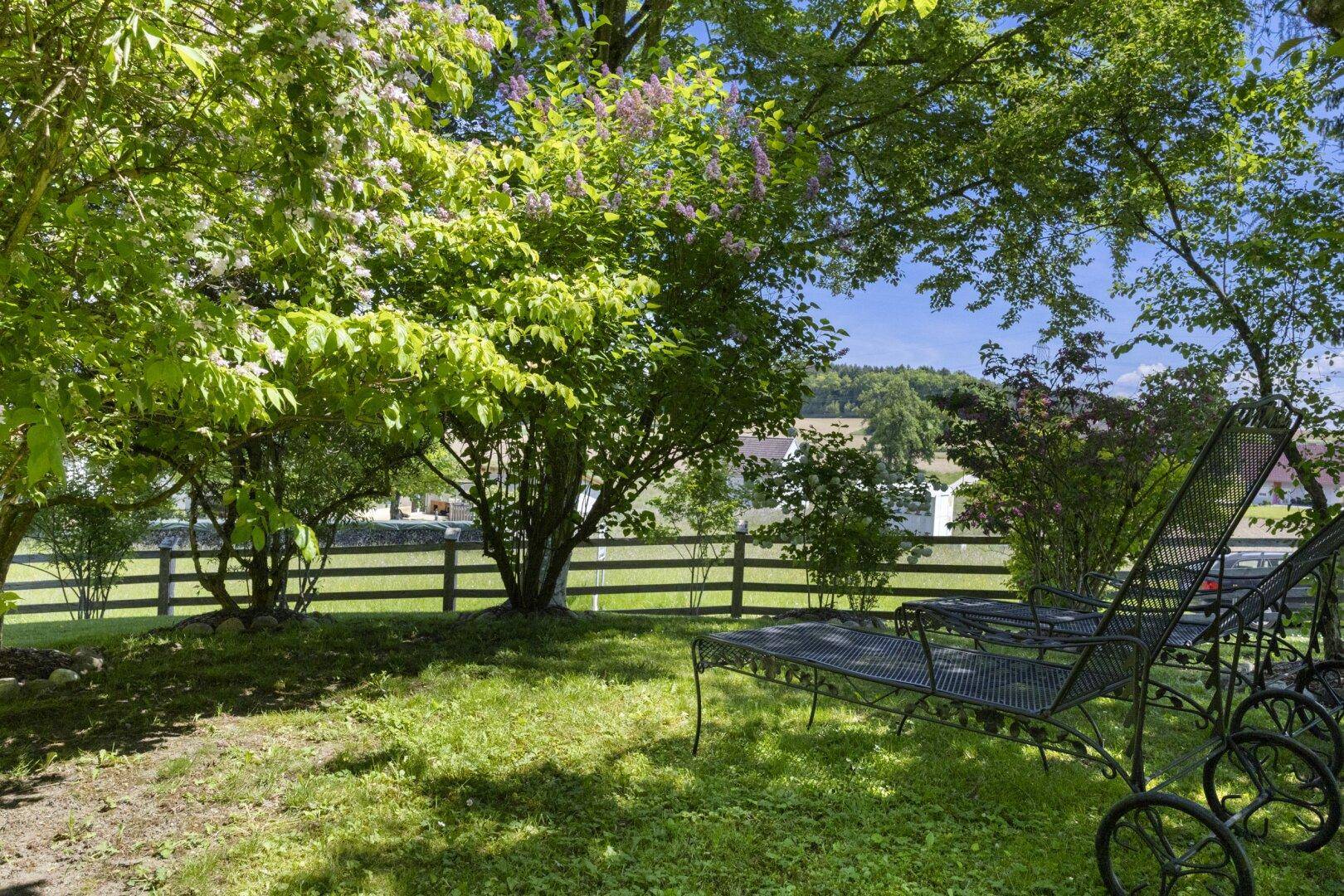 Schattiger Gartenbereich mit schmiedeeisernen Liegestühlen, ideal zum Entspannen im Grünen.