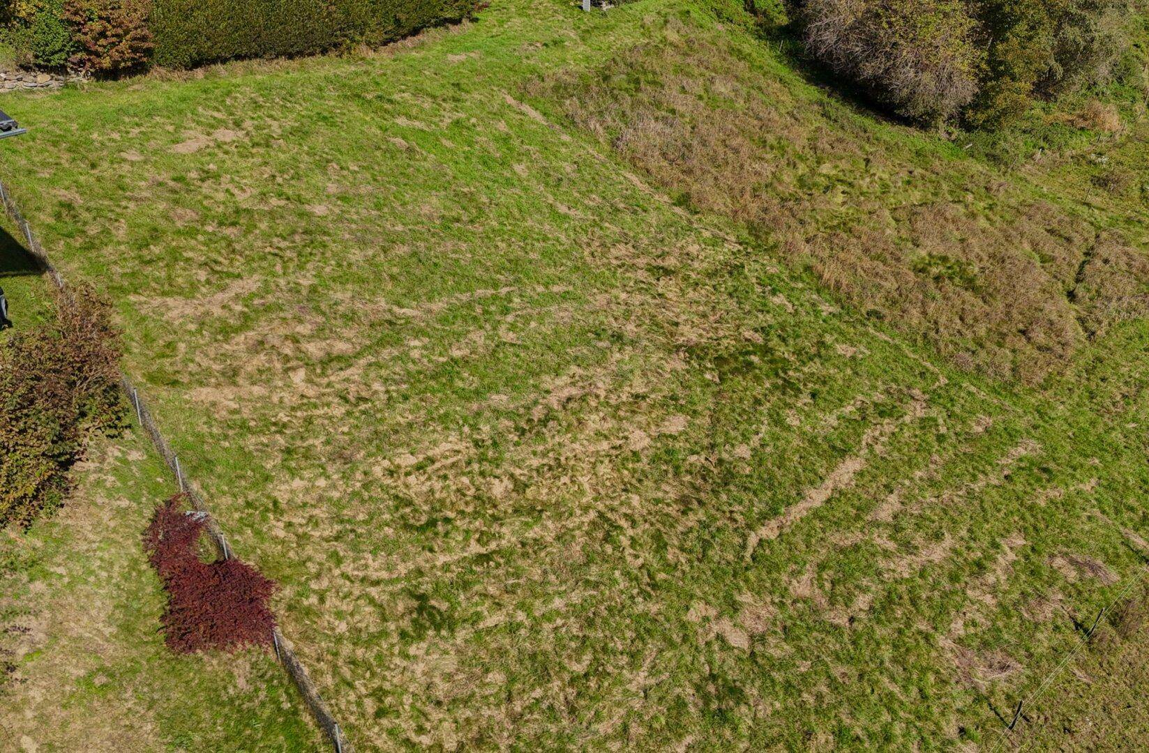 Luftaufnahme eines unbebauten, leicht abfallenden Grundstücks mit grüner Wiese und einigen Büschen.