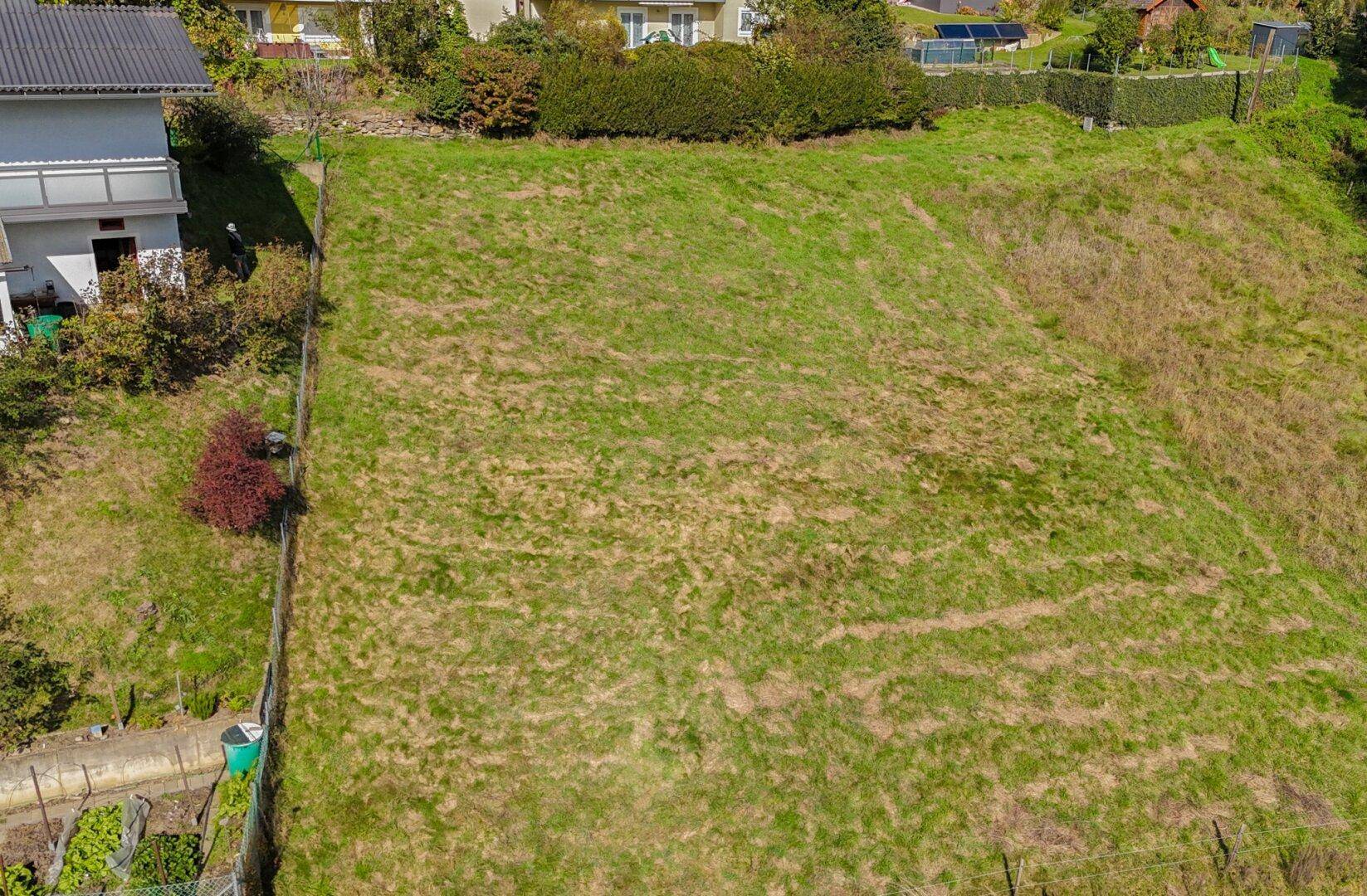 Unbebautes Grundstück mit grüner Grasfläche, umgeben von einer Hecke und angrenzenden Wohnhäusern.