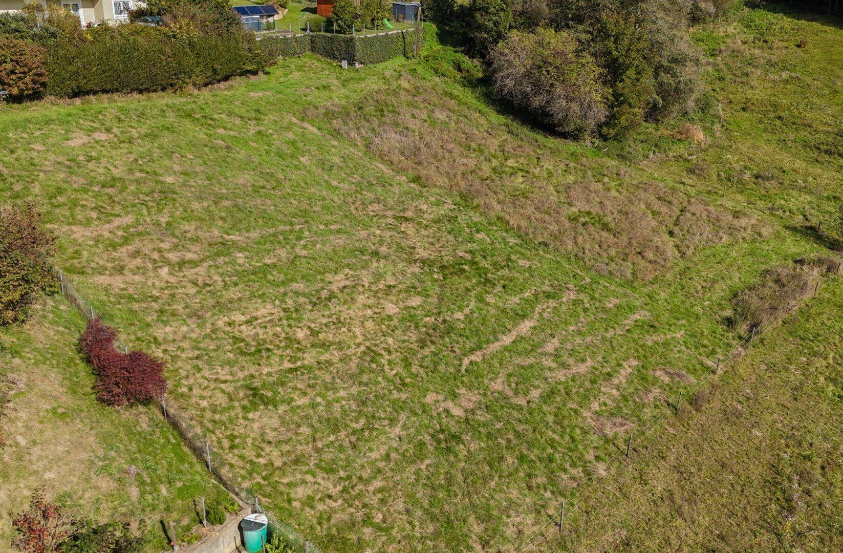 Großes, grünes Grundstück mit leichter Hanglage, umgeben von Bäumen und einer Hecke.
