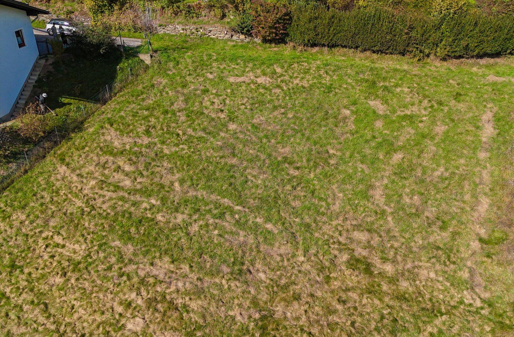 Unbebautes, grünes Grundstück mit leichter Hanglage, umgeben von einer Hecke und einem angrenzenden Gebäude.