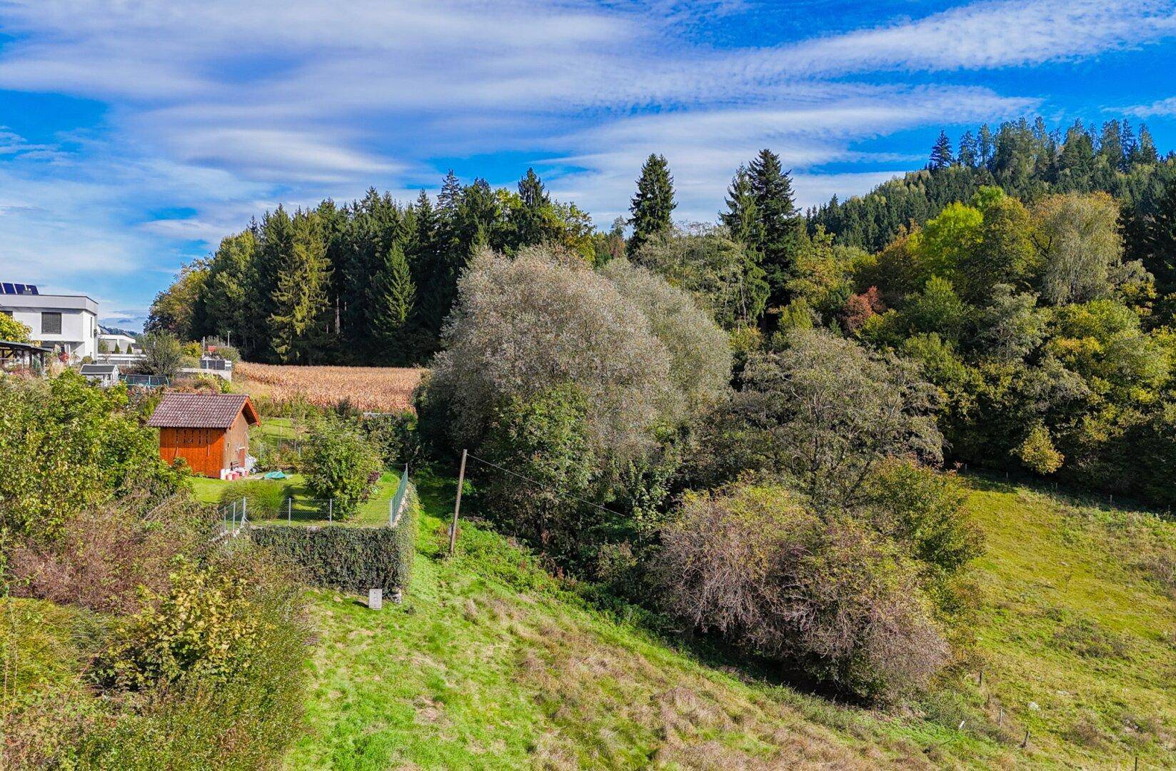 Landschaftsbild mit Wohnhäusern auf einem Hügel, umgeben von üppiger Vegetation und Waldgebieten.