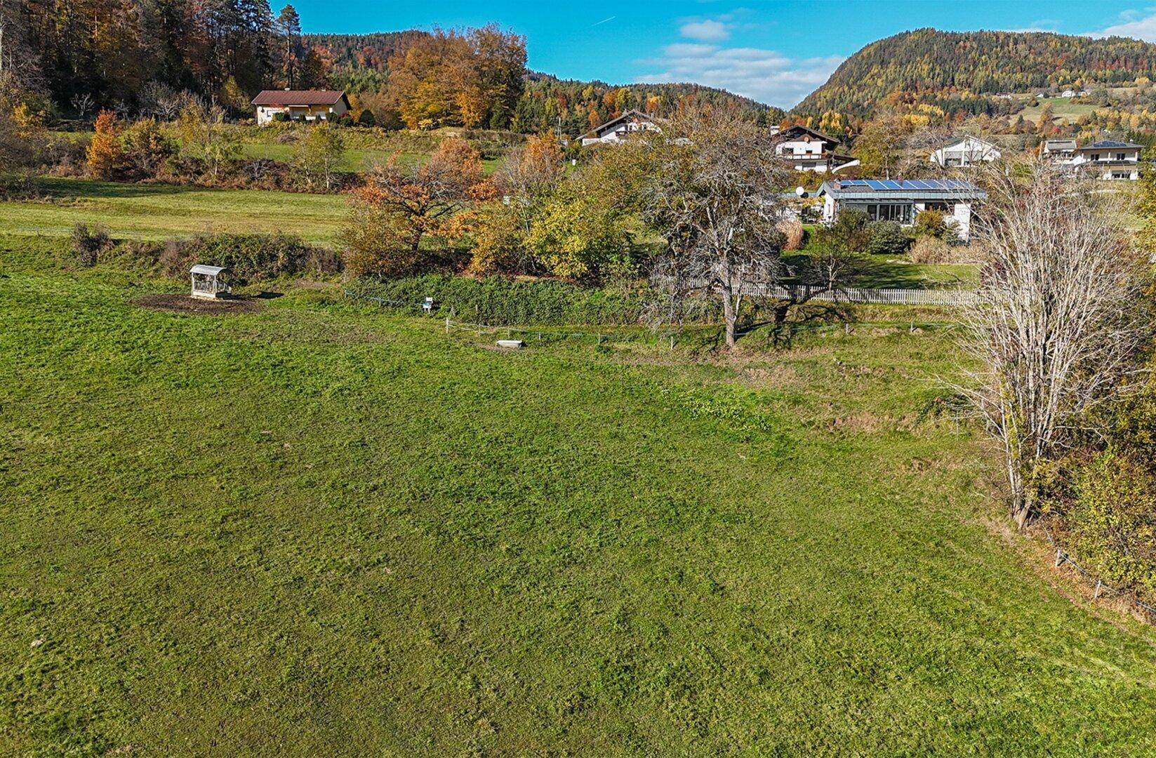 Offene Wiesenlandschaft mit einzelnen Bäumen und Blick auf ländliche Bebauung am Hügel.