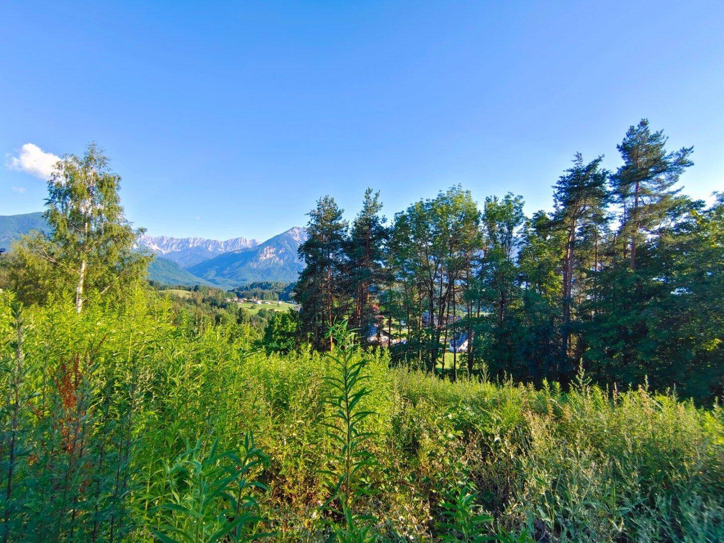 Die Idee ist schon da – verwirklichen Sie Ihr Traumhaus in Panorama-Lage von Toppelsdorf - Ansicht 4