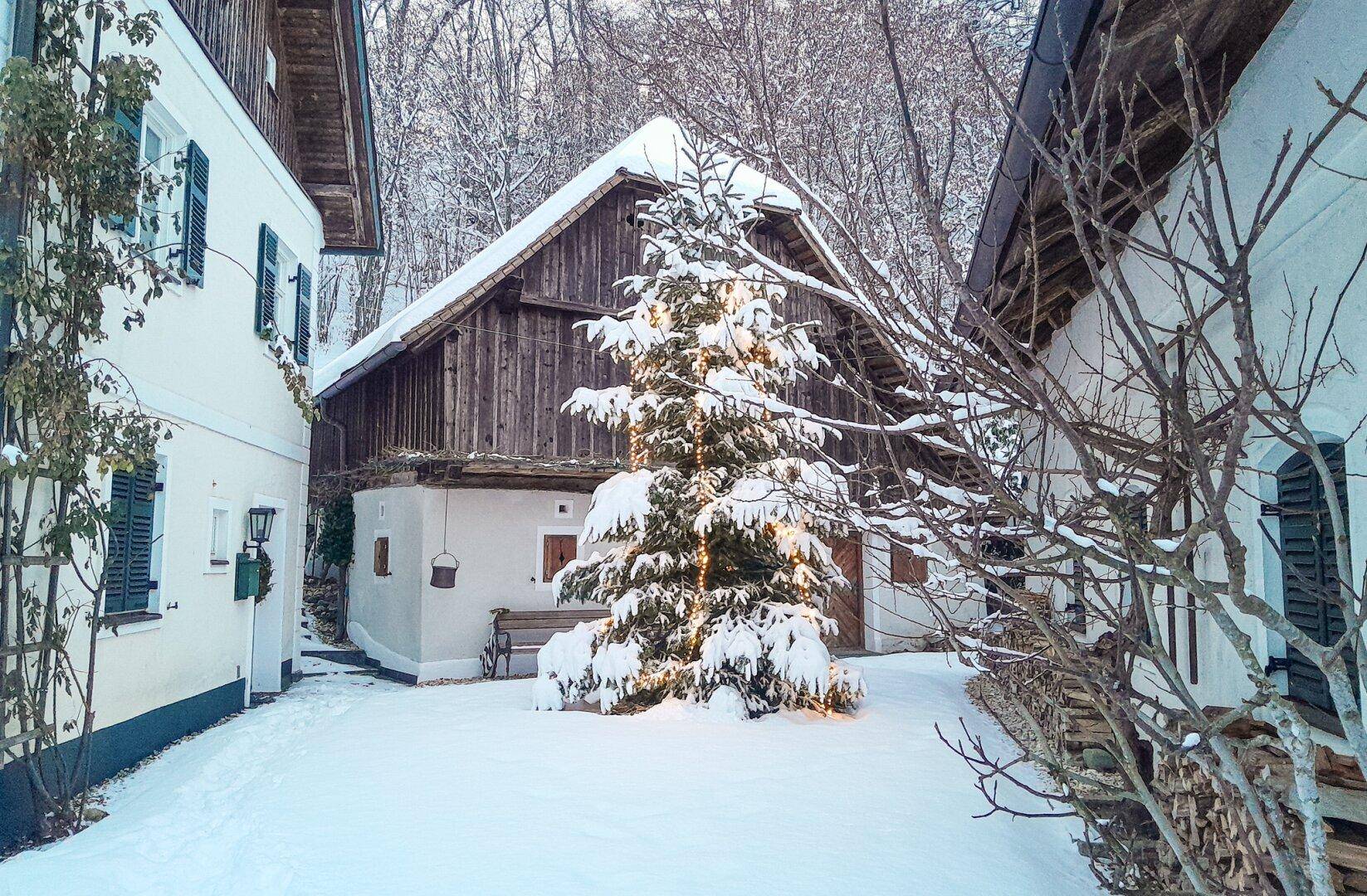 Verschneiter Innenhof zwischen traditionellen Gebäuden mit einem festlich geschmückten Weihnachtsbaum.