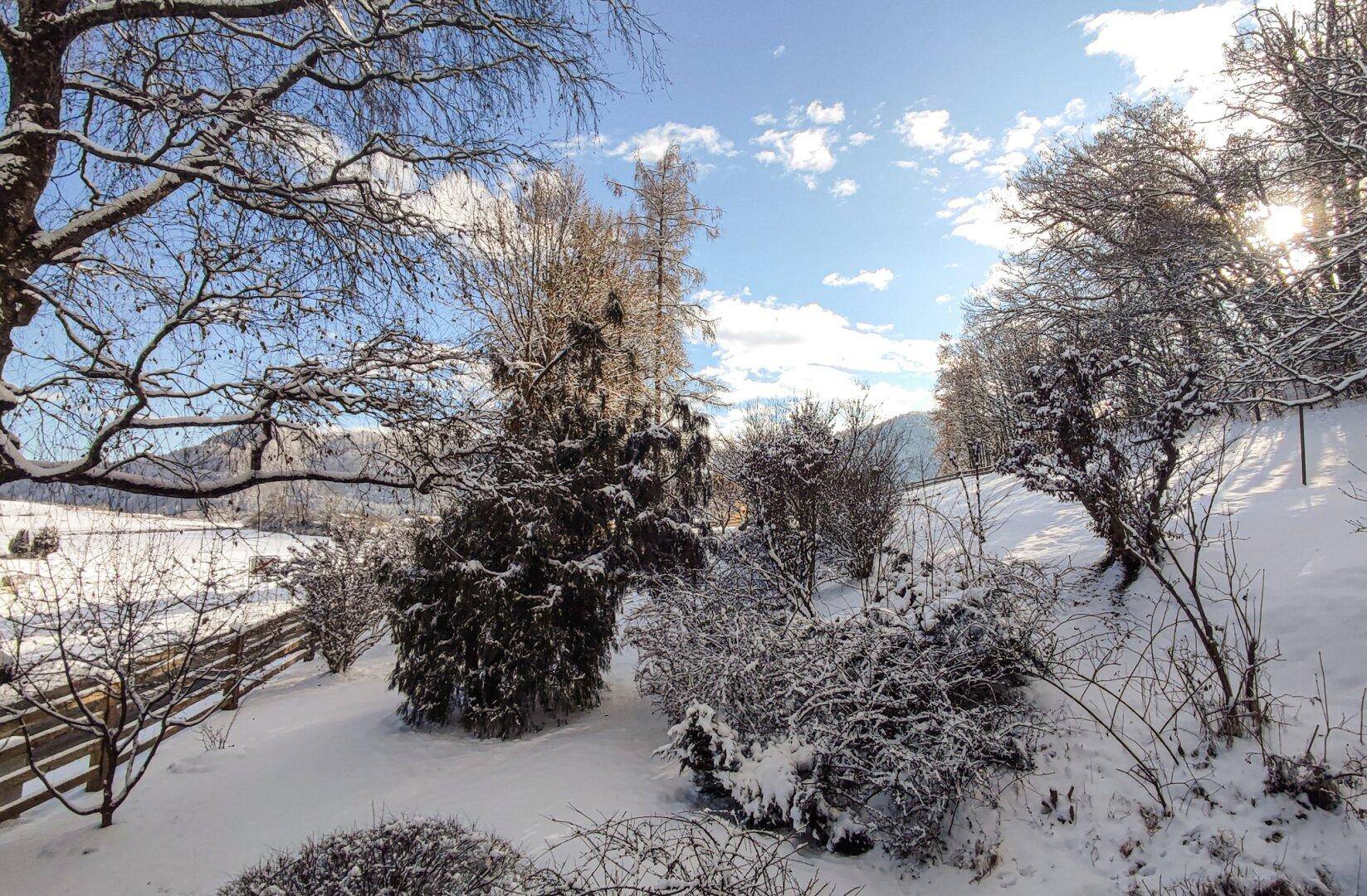 Weitläufige verschneite Landschaft mit Bäumen und Hügeln unter einem strahlend blauen Himmel.