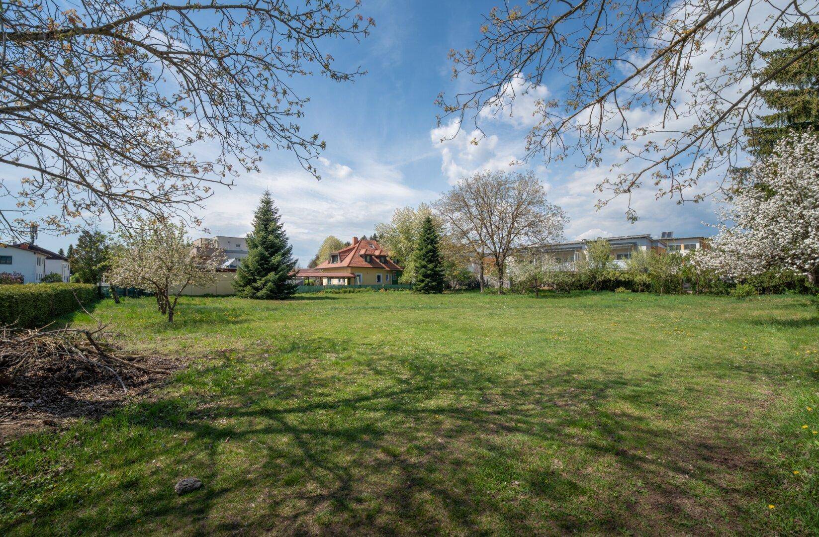 Weitläufige Grünfläche mit Rasen und Bäumen, umgeben von Wohnhäusern unter blauem Himmel.