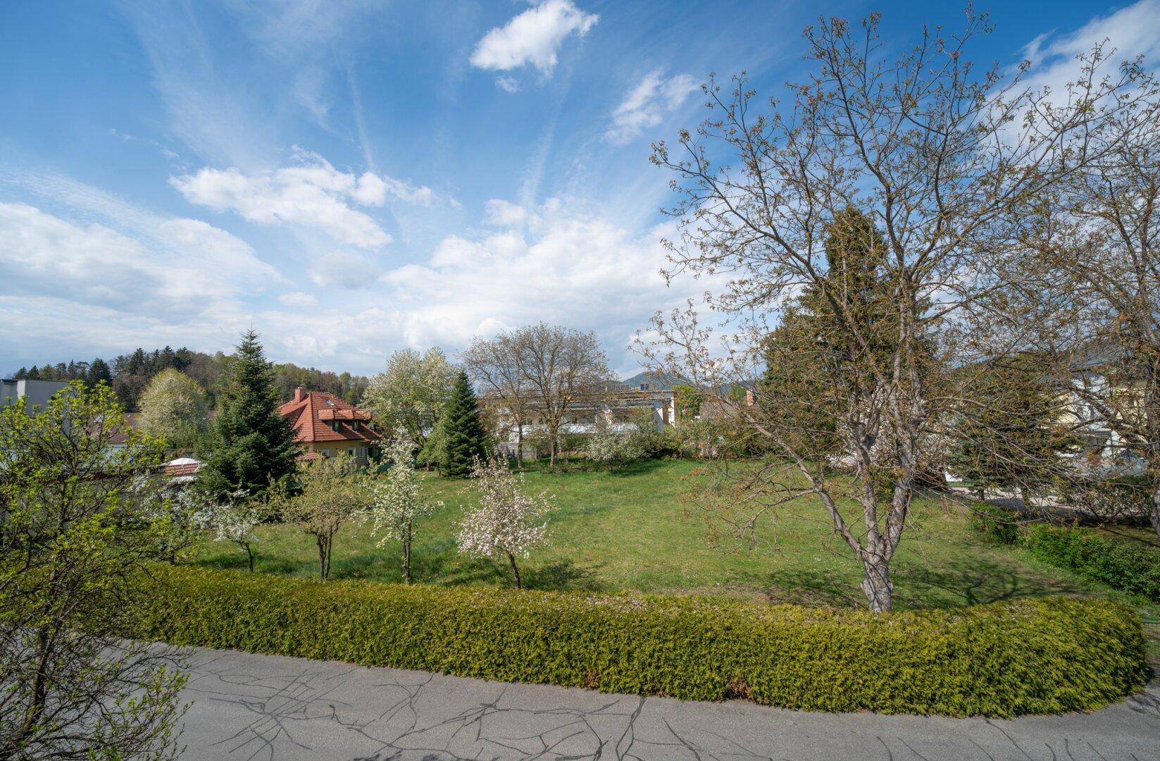 Gepflegte Grünfläche mit Hecke und Bäumen, bietet einen weiten Blick auf die Umgebung.
