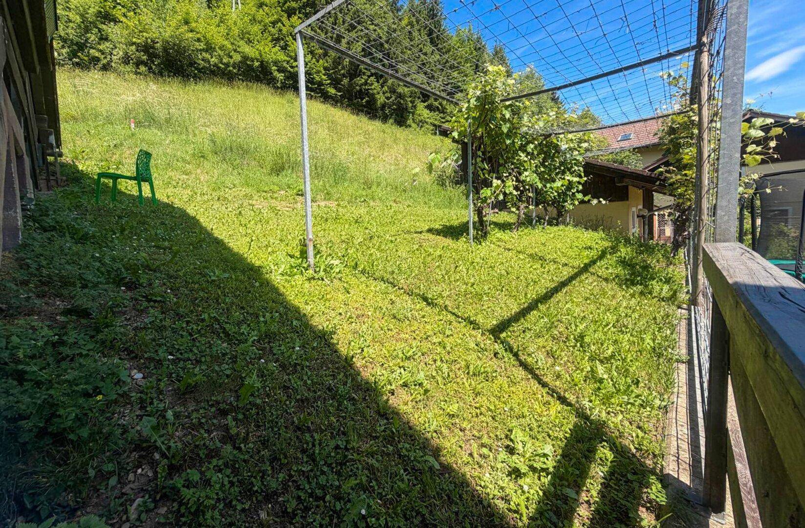Hanglage im Garten mit Klettergerüst und üppiger Vegetation, ideal für Weinreben oder Gemüseanbau.