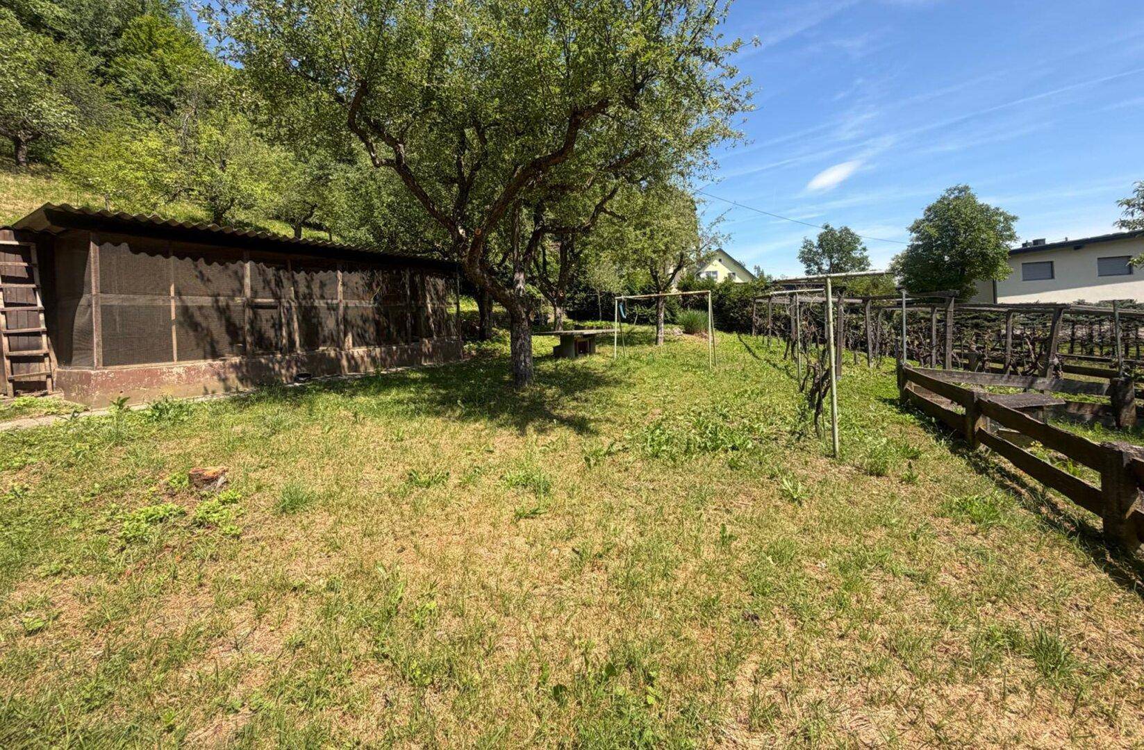 Weitläufiger Gartenbereich mit Rasen, Obstbäumen und einer Holzumzäunung, ideal für Familien.