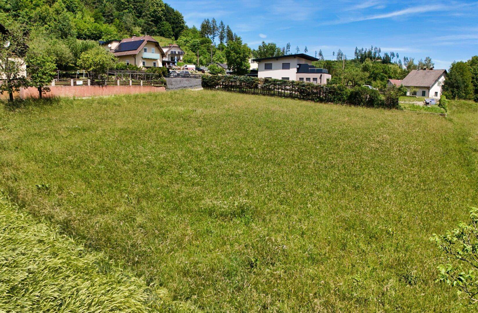 Panoramablick über grüne Felder und die umliegende Wohnsiedlung in ländlicher Umgebung.