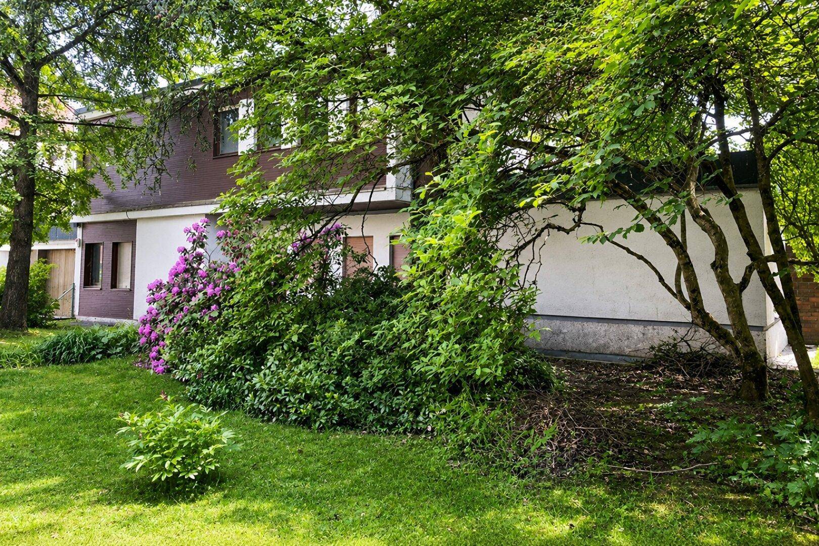 Seitenansicht des Wohnhauses umgeben von üppigem Grün und blühenden Sträuchern im Garten.
