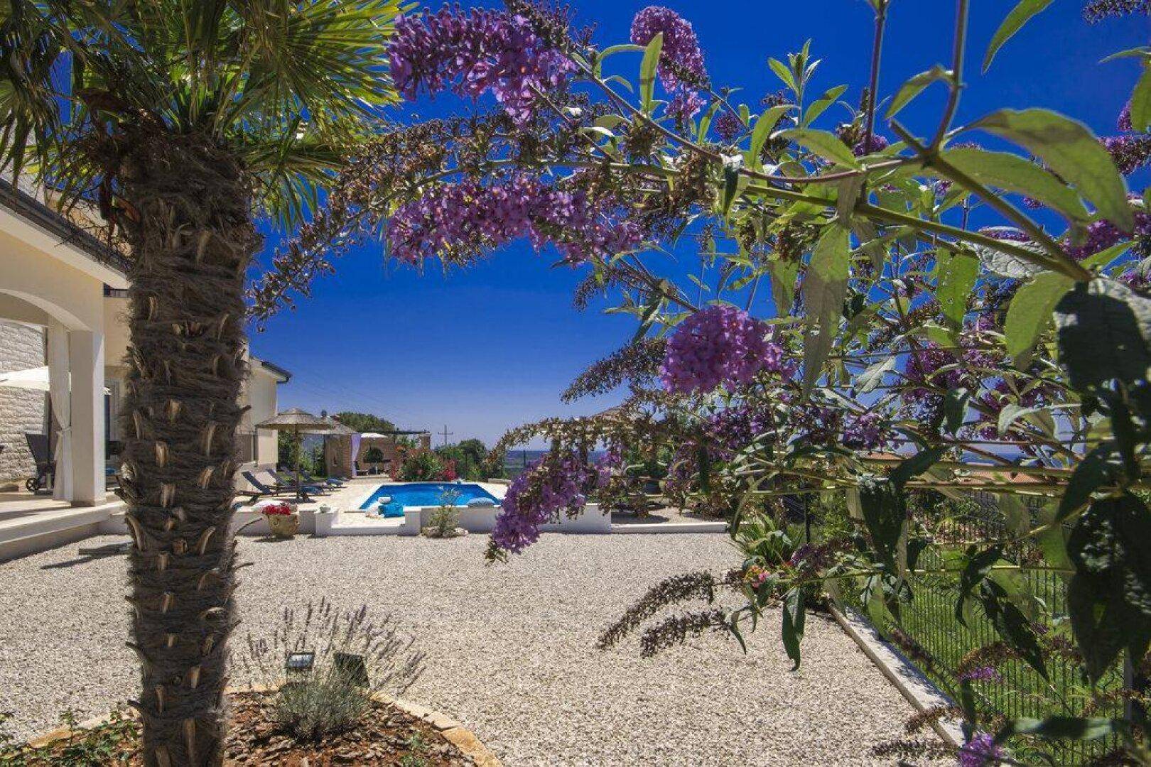 Mediterraner Gartenweg mit blühenden Pflanzen, Palmen und Blick auf den Poolbereich der Villa.