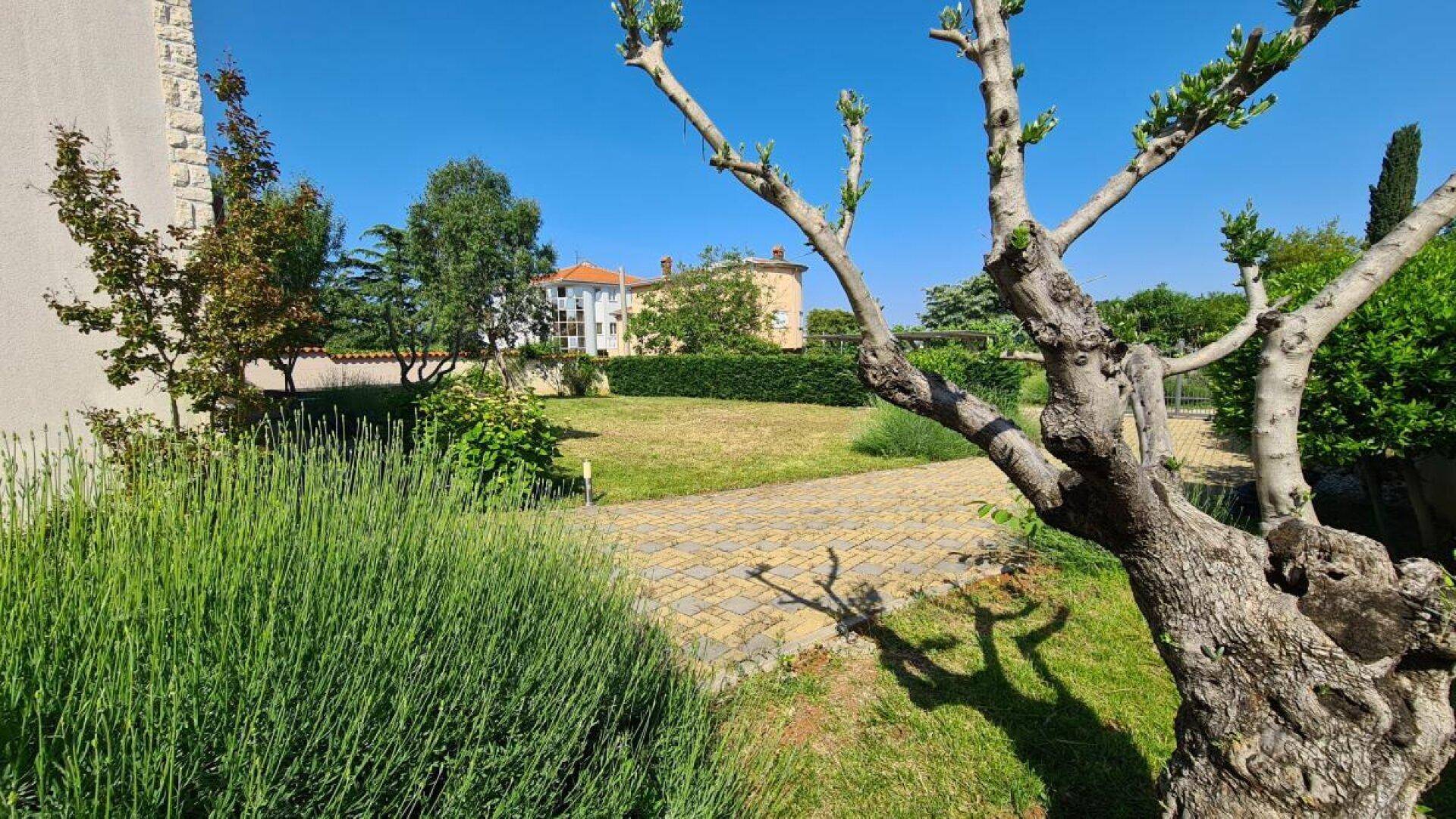 Gepflegter Garten mit mediterraner Bepflanzung und einem gepflasterten Weg unter strahlend blauem Himmel.