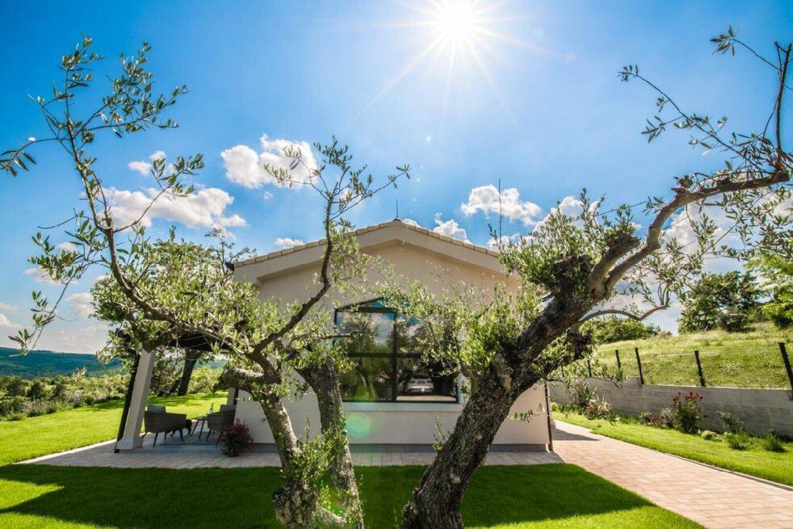 Sonnige Außenansicht der Villa mit großen Fenstern und Olivenbäumen im Vordergrund, umgeben von Grün.