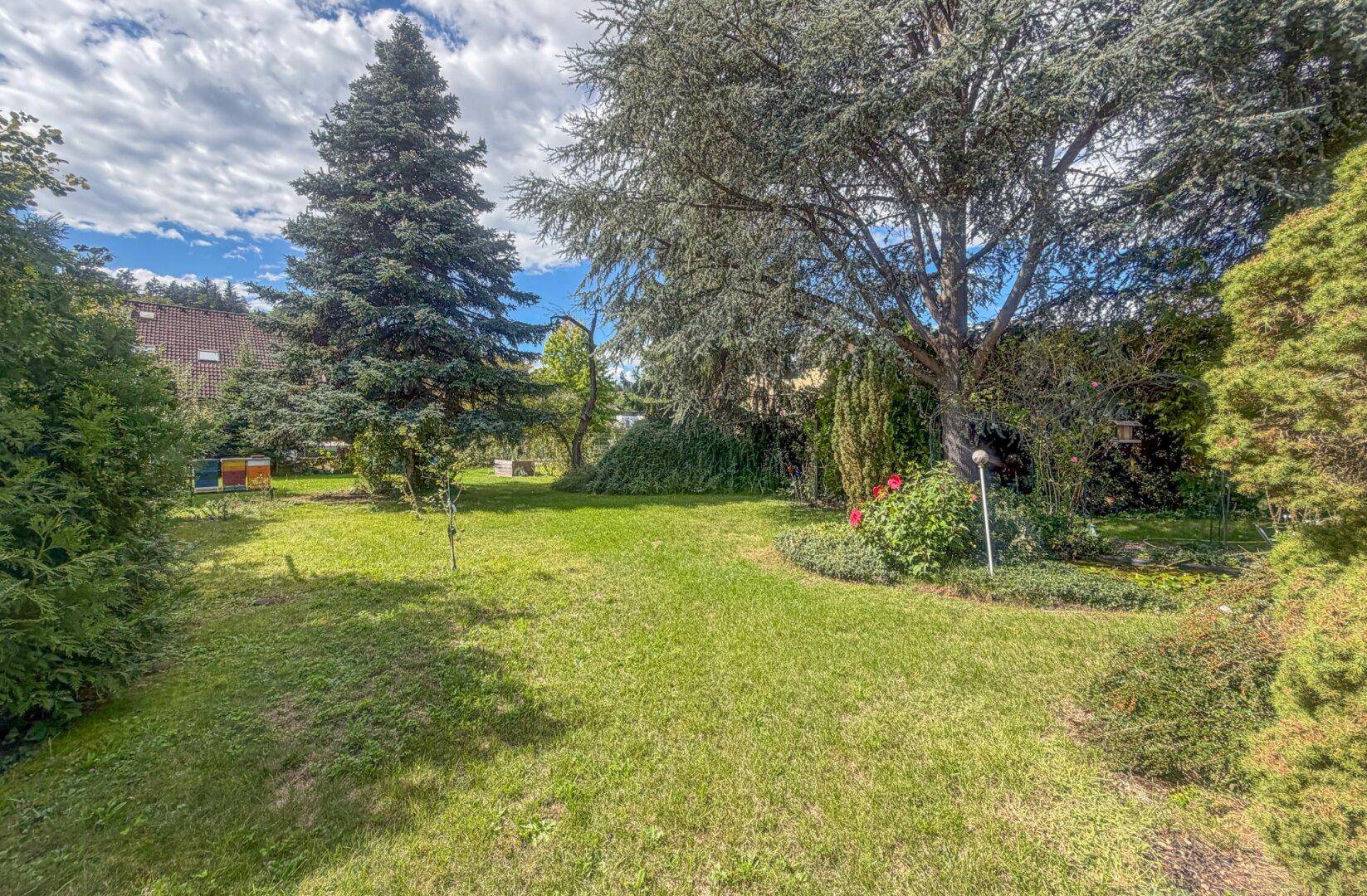 Offener Gartenbereich mit großem Rasen und hohen Bäumen, bietet viel Raum für Aktivitäten.
