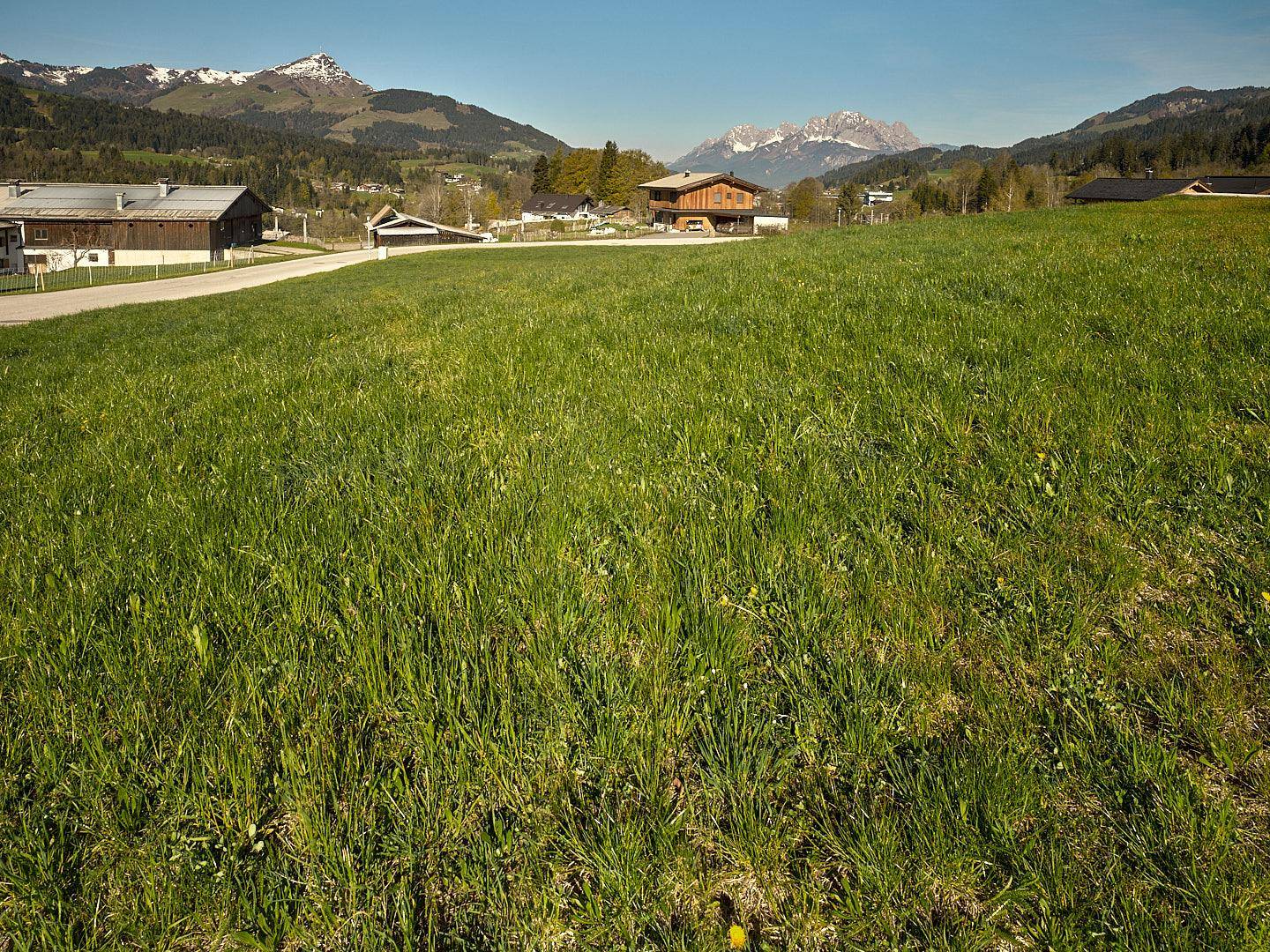 Weitläufige grüne Wiese im Vordergrund mit malerischem Blick auf schneebedeckte Berge unter blauem Himmel.