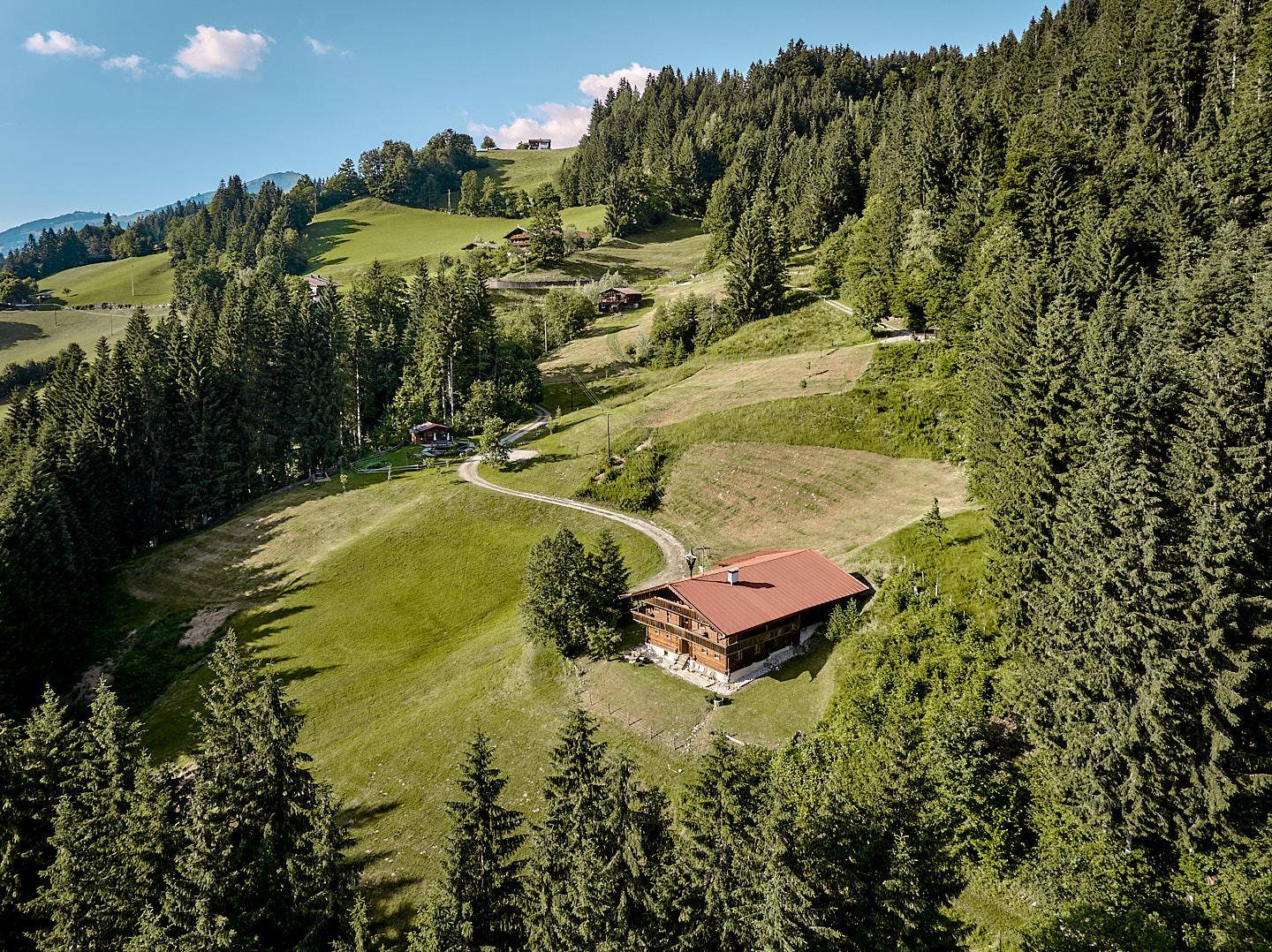 Luftaufnahme des Holzchalets eingebettet in eine weite, grüne Berglandschaft mit Wäldern und Wiesen.