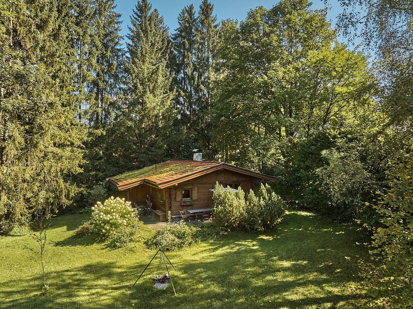 Luftaufnahme des Holzchalets, eingebettet in eine weitläufige grüne Landschaft mit hohen Bäumen und Bergblick.