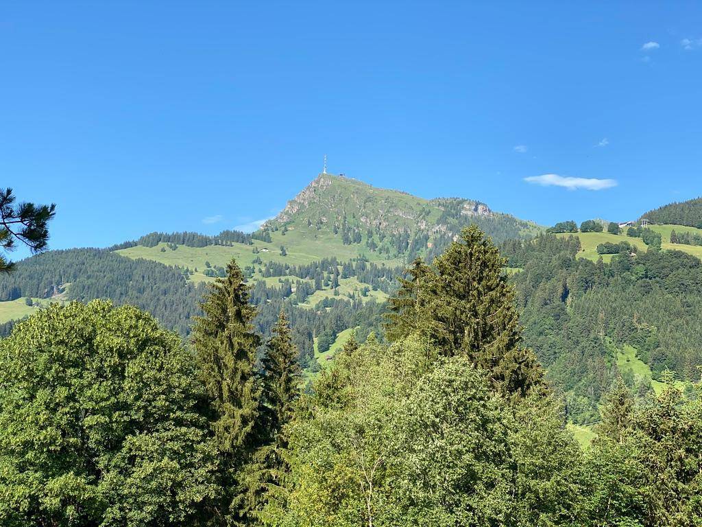 Kitzbu¨hler Horn
