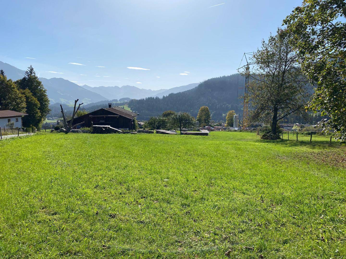 Weitläufige grüne Wiese mit einem Haus und Bergen im Hintergrund, unter einem klaren blauen Himmel.