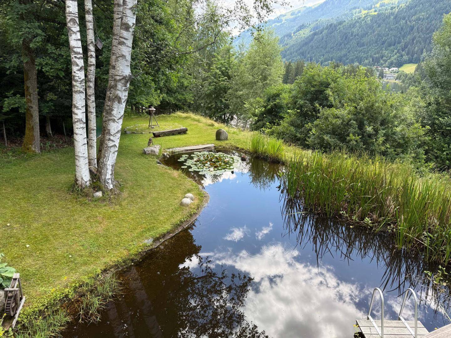 Teich 2