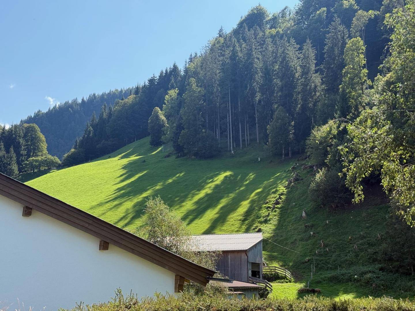 Steinpichler - 6