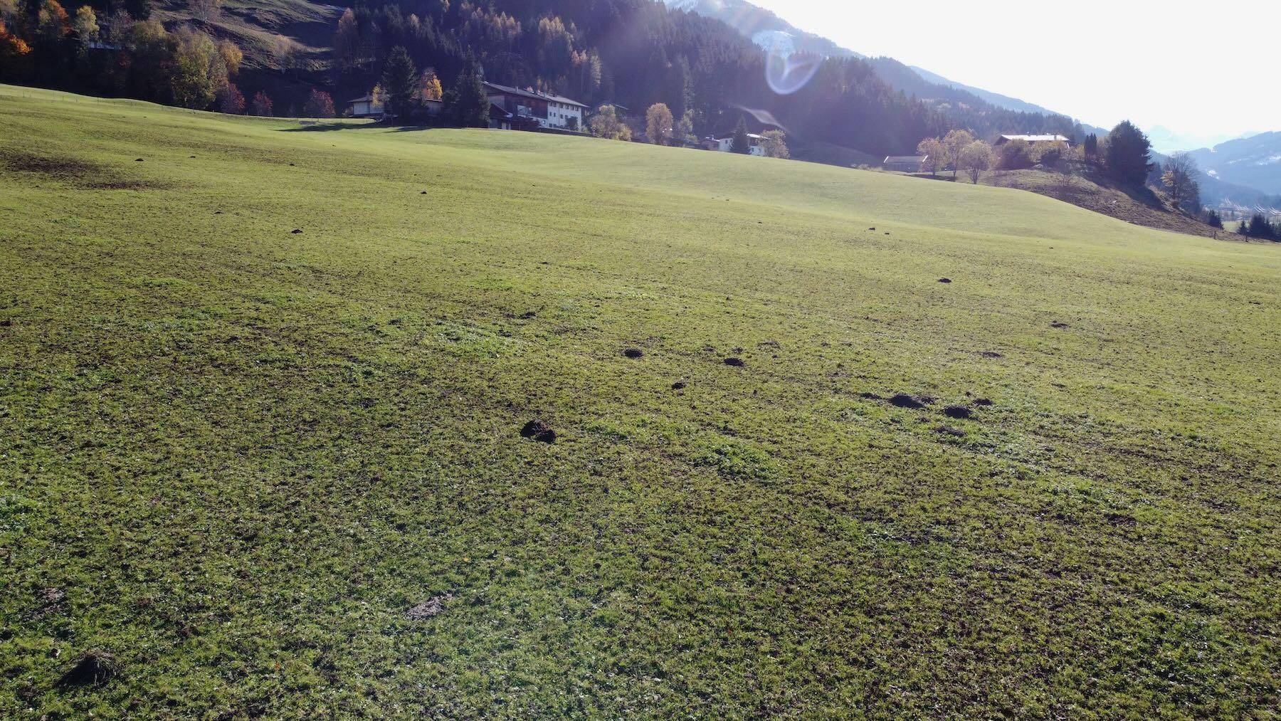 Nahaufnahme einer grünen Wiese mit kleinen Erdhügeln und einem Dorf im Hintergrund unter sonnigem Himmel.