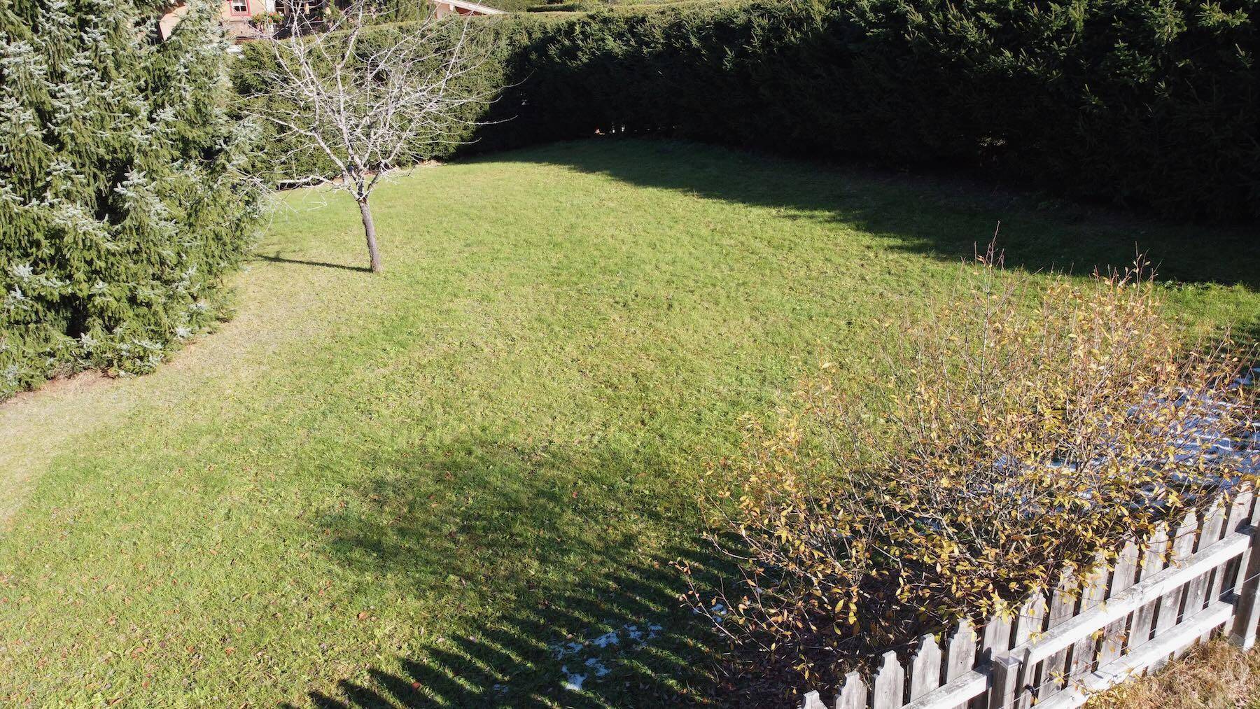 Gepflegter Gartenbereich mit Rasenfläche, umgeben von hohen Hecken und einem einzelnen Baum.