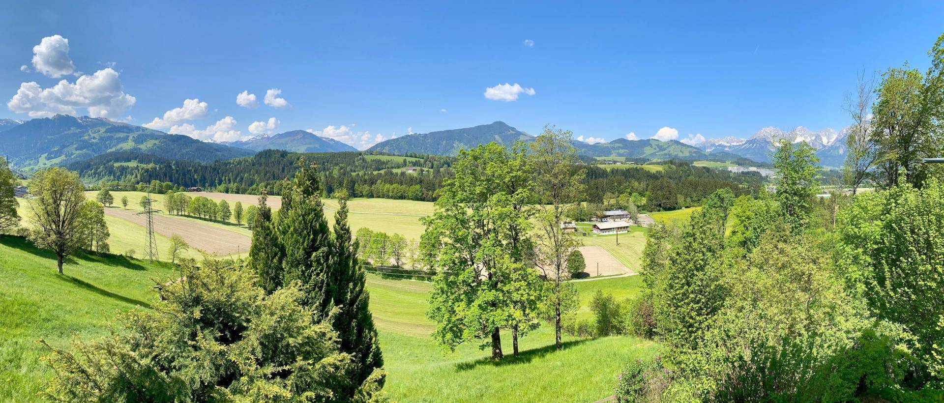 Weitläufiger Panoramablick über eine grüne Hügellandschaft mit Bäumen und fernen Bergen.