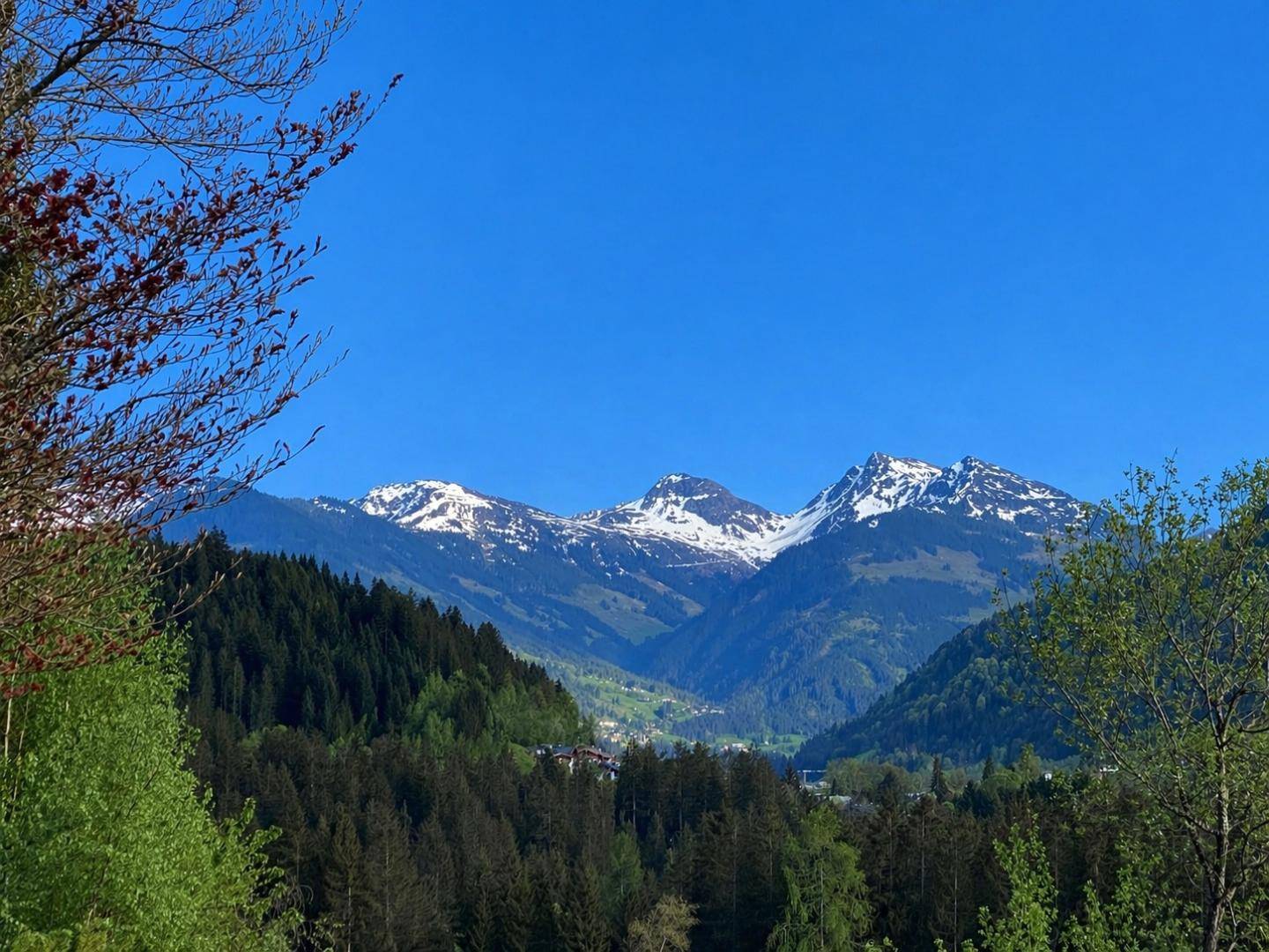 Spektakulärer Panoramablick auf schneebedeckte Berge und grüne Täler unter blauem Himmel.