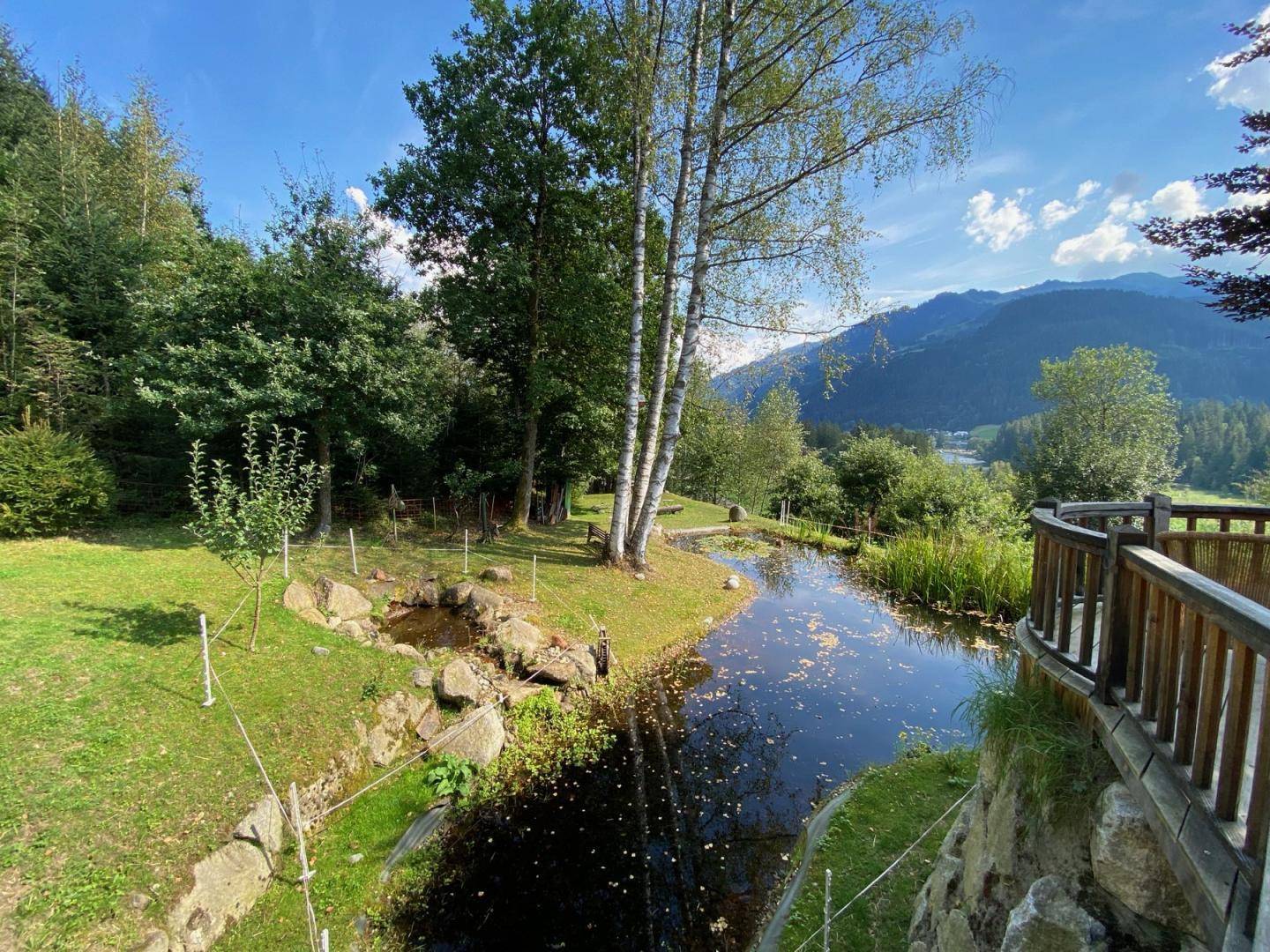 Idyllischer Gartenbereich mit Teich, Bäumen und Blick auf die umliegende Berglandschaft.