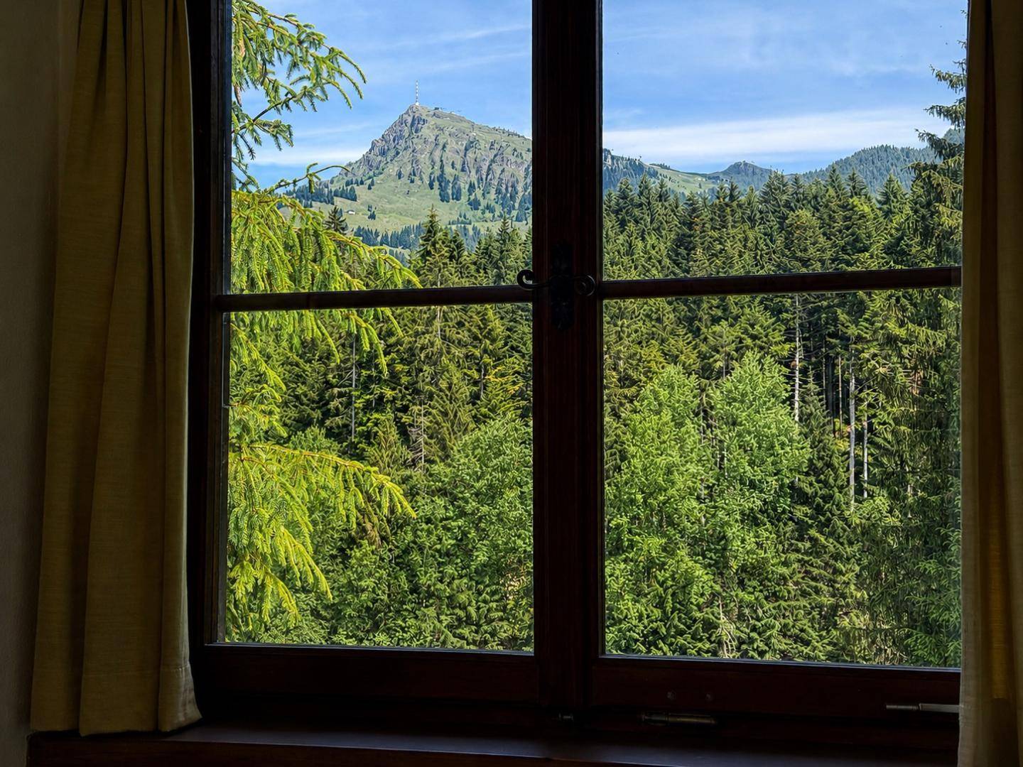 Fensterblick auf dichte grüne Wälder und einen majestätischen Berg unter blauem Himmel.