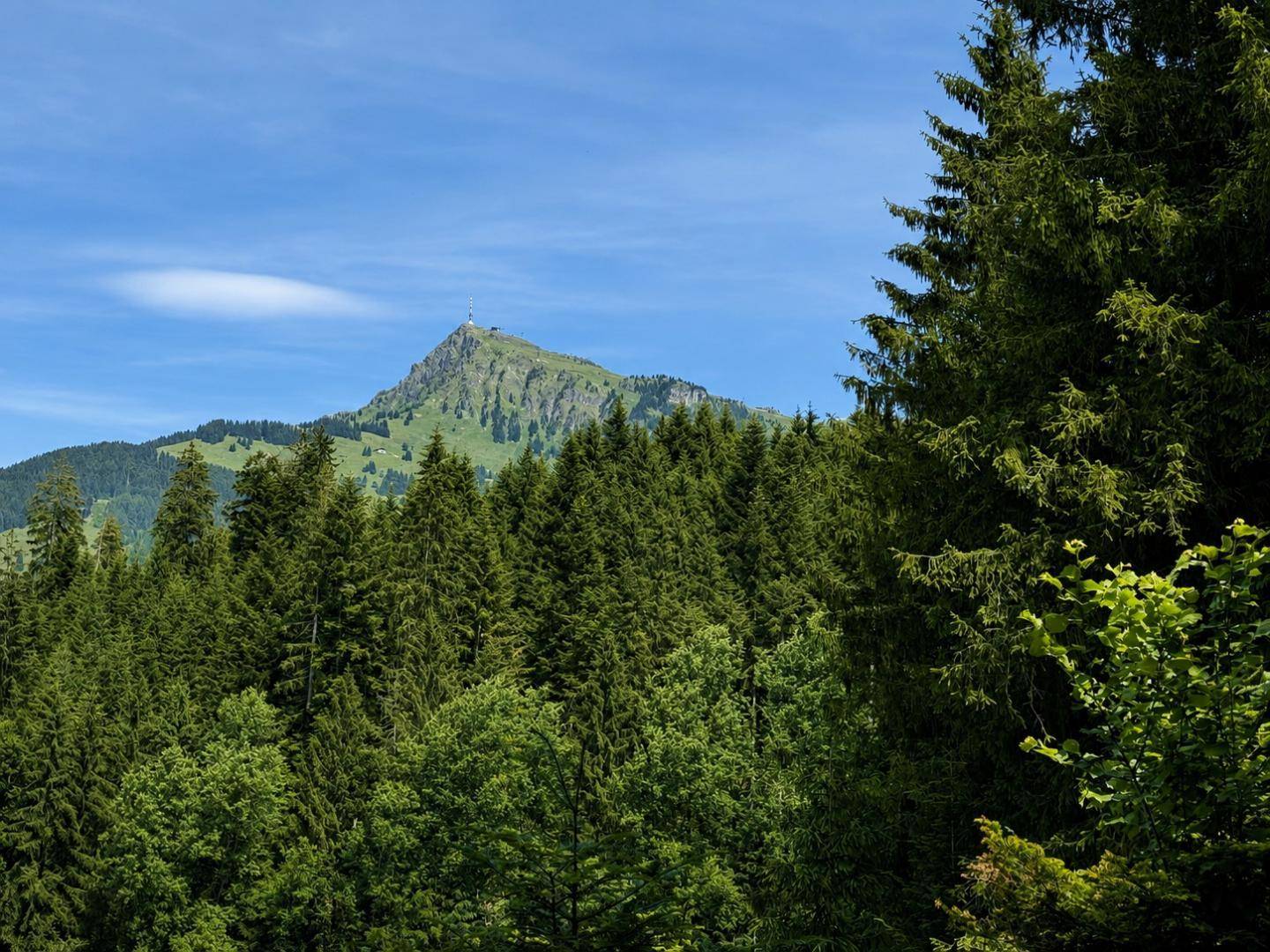 Malerischer Blick auf einen bewaldeten Berg unter strahlend blauem Himmel.