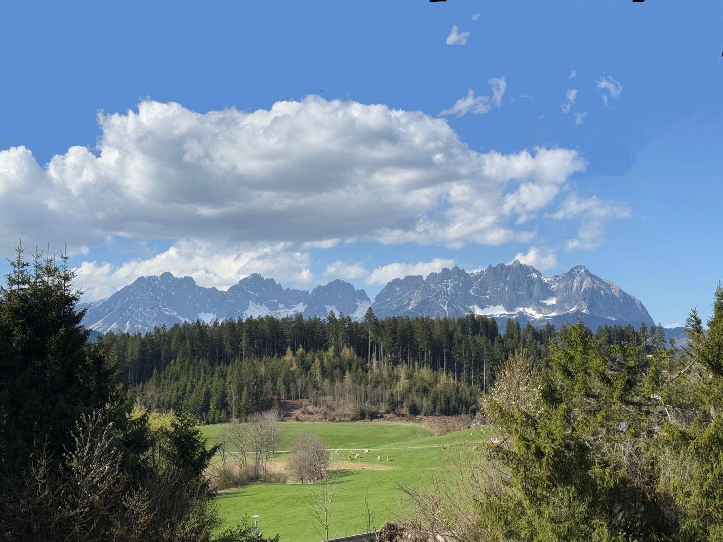 Panoramablick auf majestätische Berge und weite grüne Felder unter blauem Himmel.